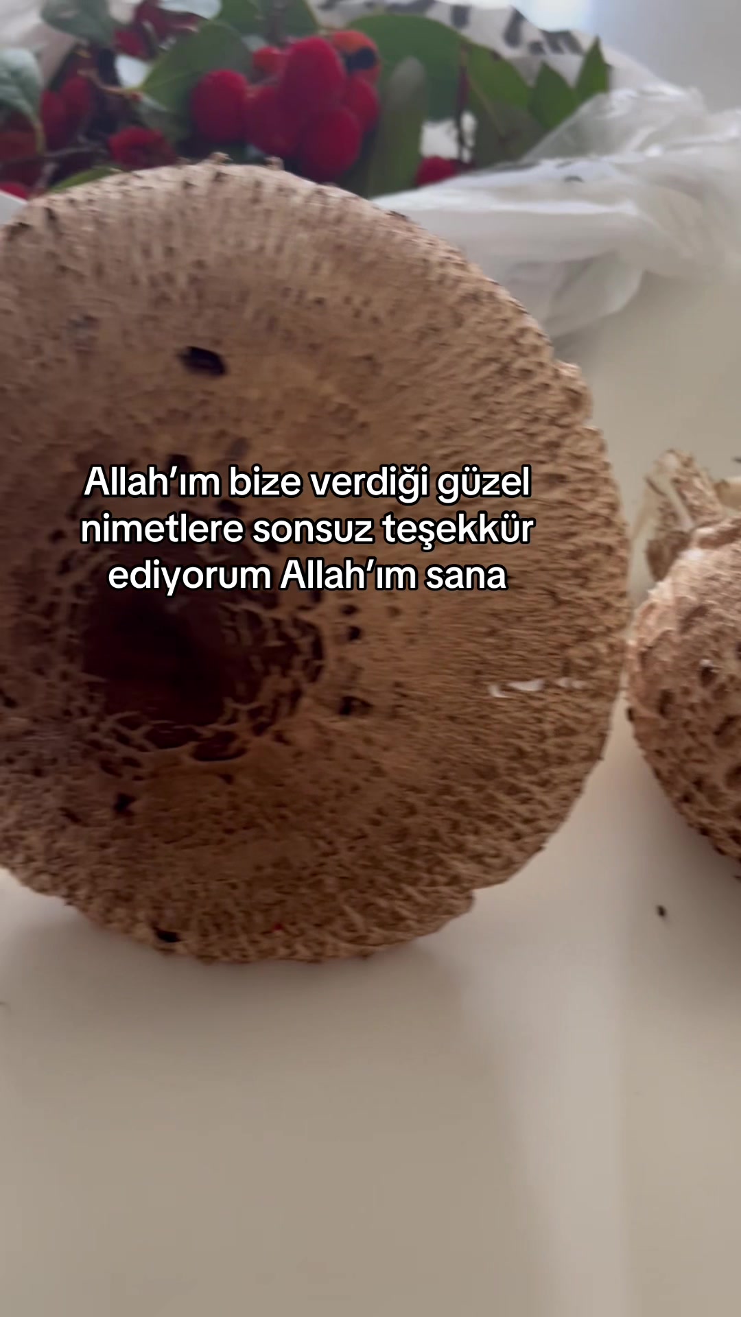 @Gönülünpatileri