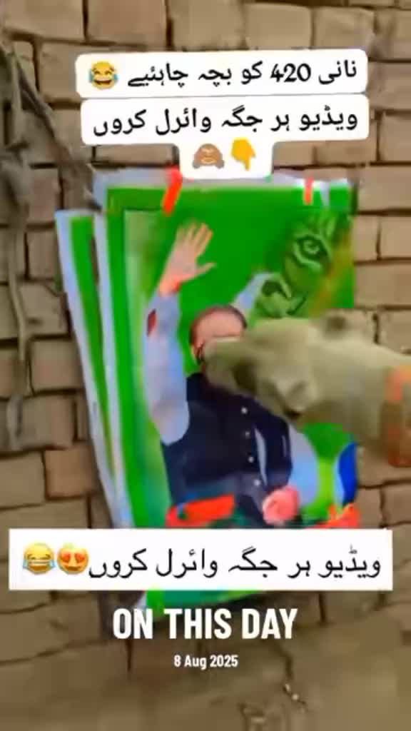 @🌹🌹Tanvir awan 🌹🌹