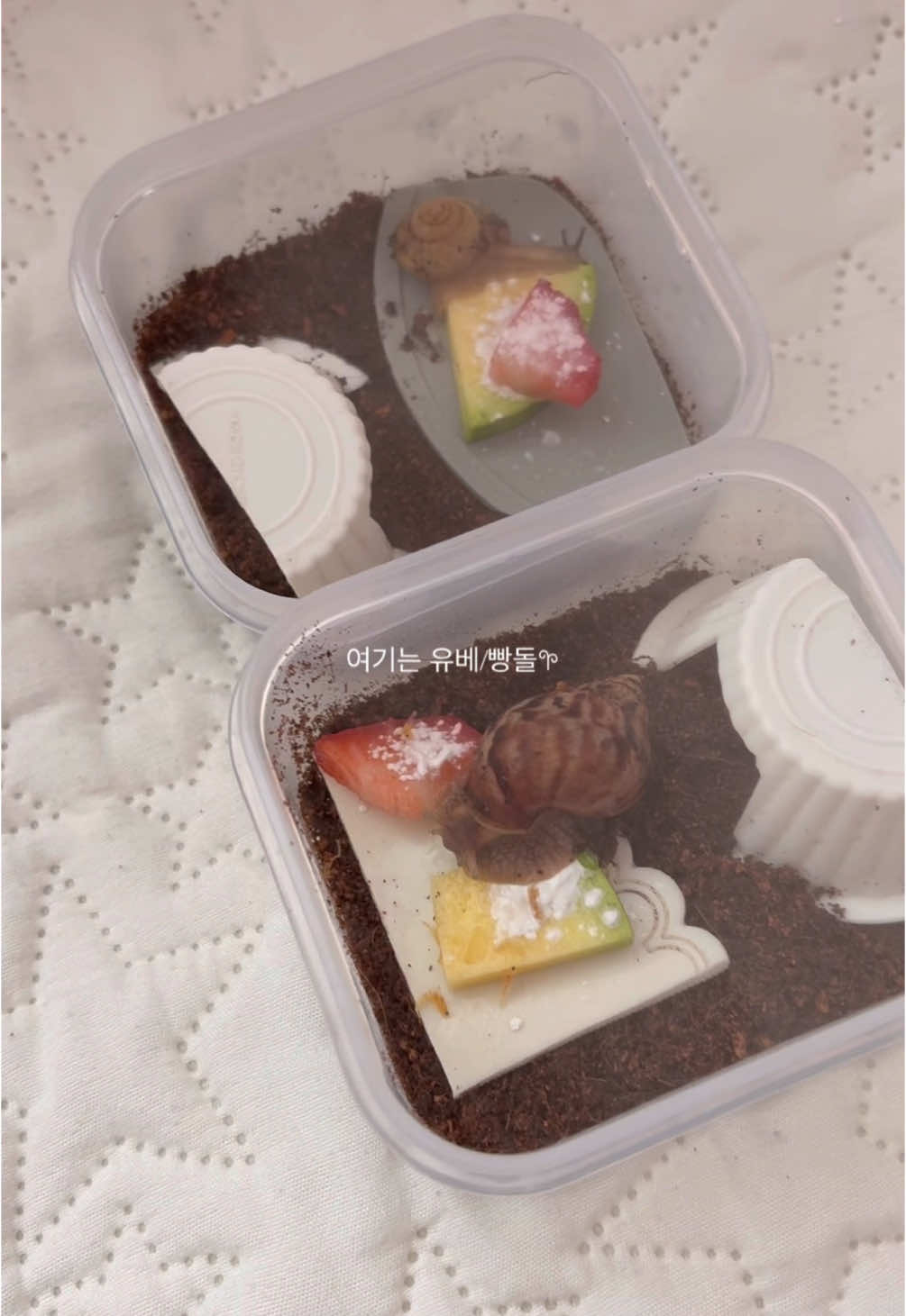 @• 온도