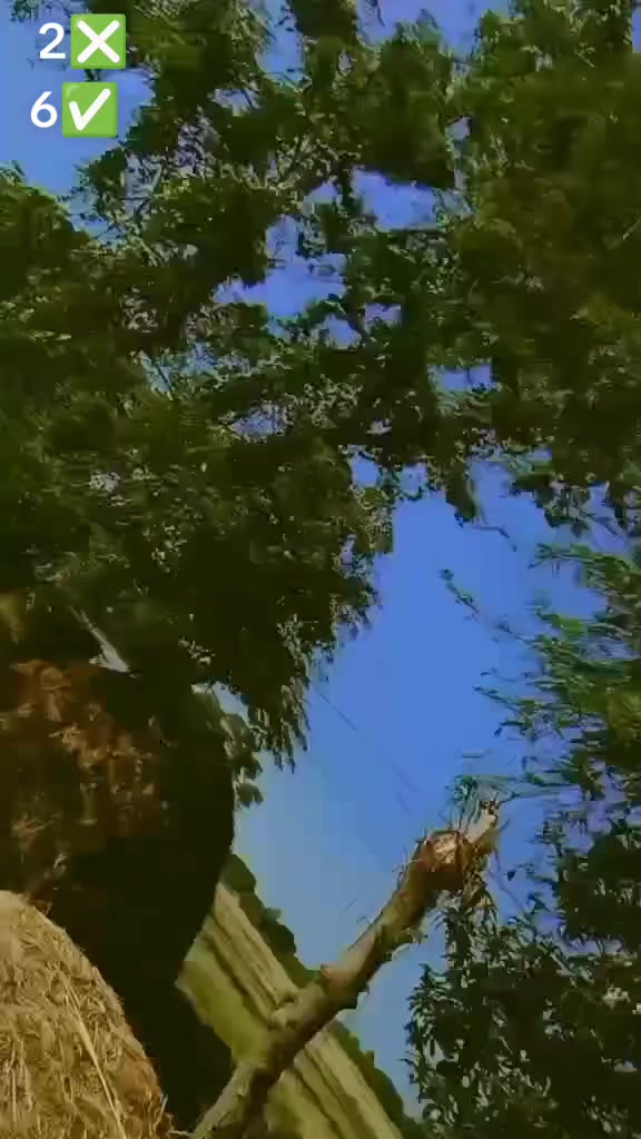 @b̷h̷o̷j̷p̷u̷r̷i̷y̷a̷✔ k̷e̷t̷i̷
