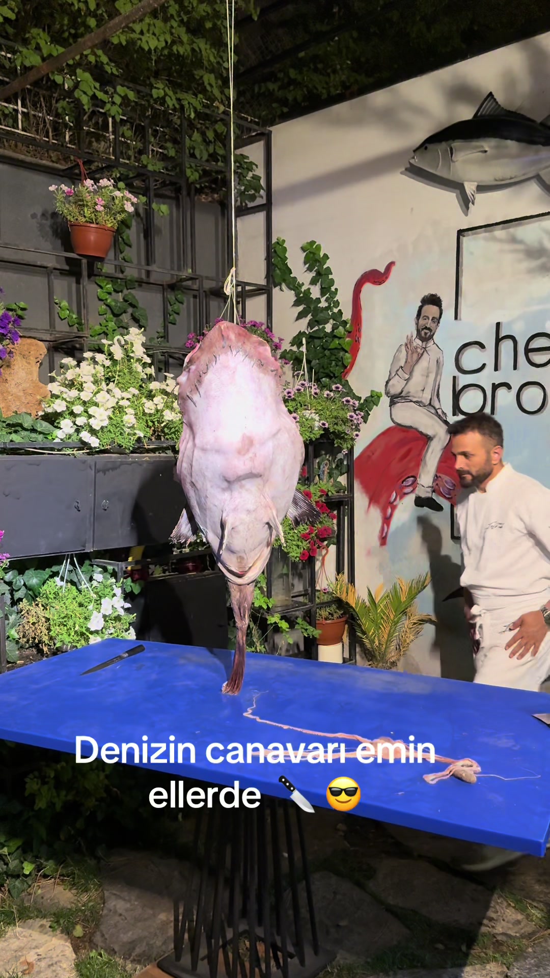 @Faruk Cheff