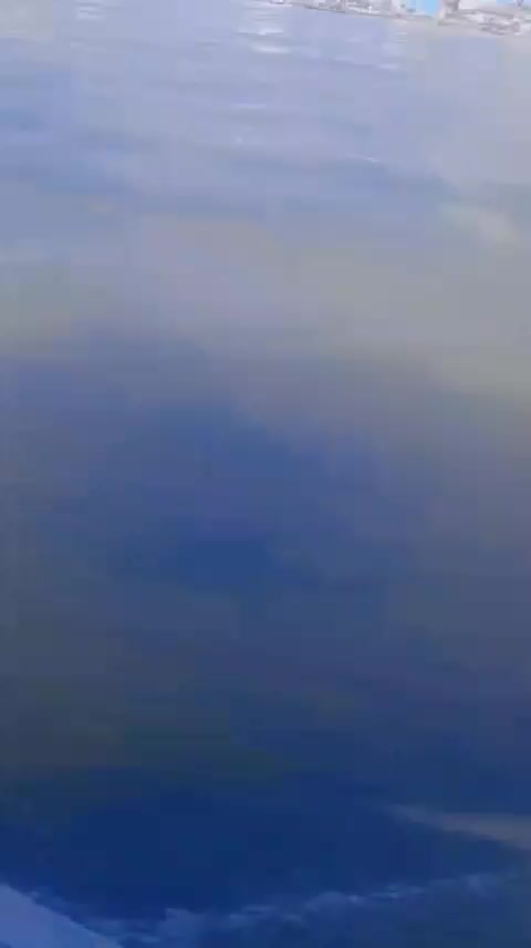 @F.A