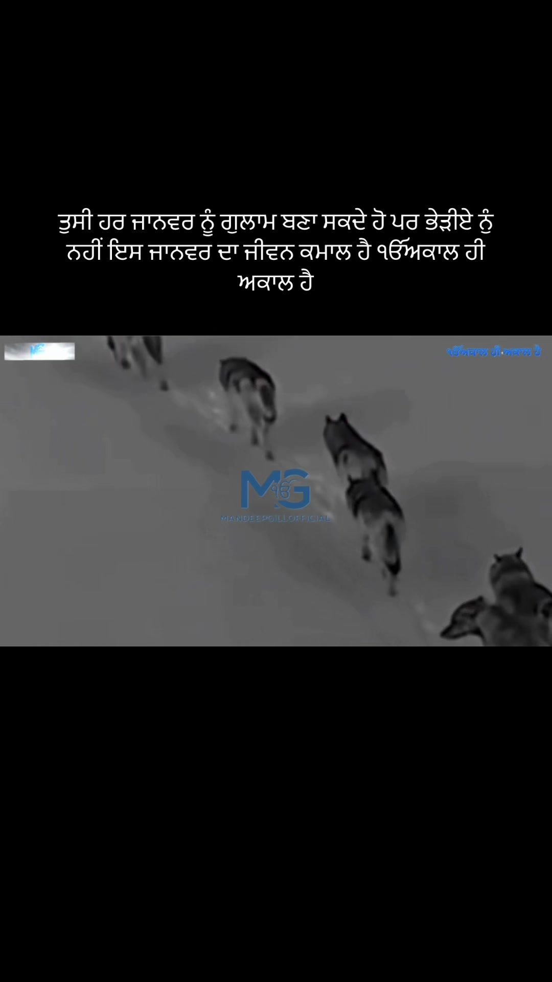 @Mandeep Singh Gill