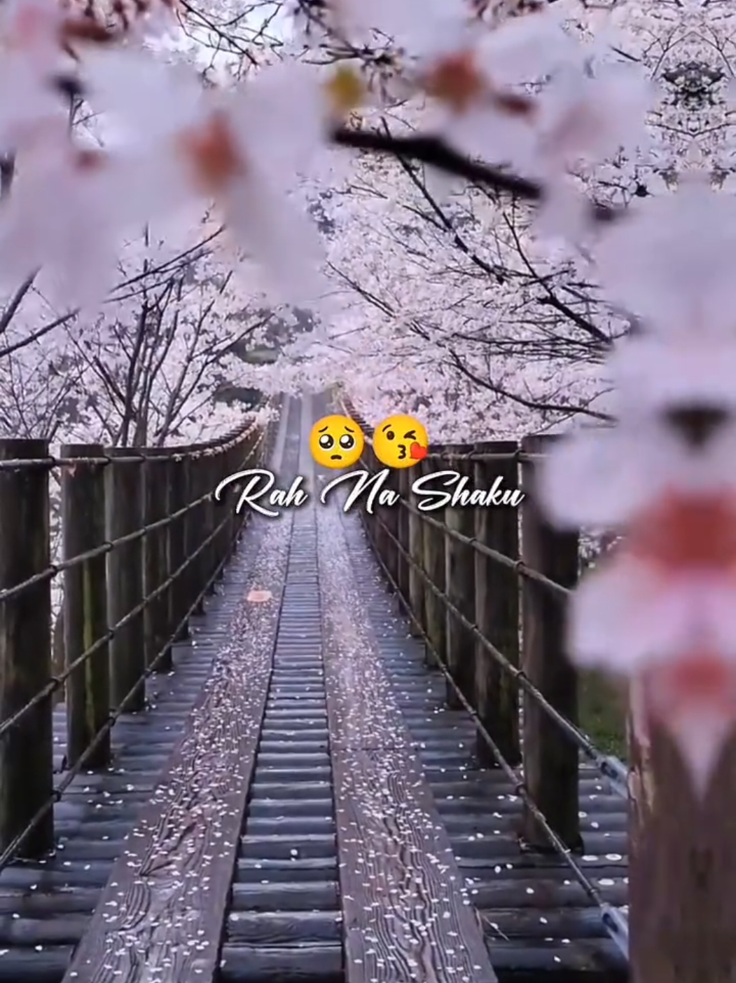 @🦋⃟Akash♡_Hun_Yr🖇️🤍