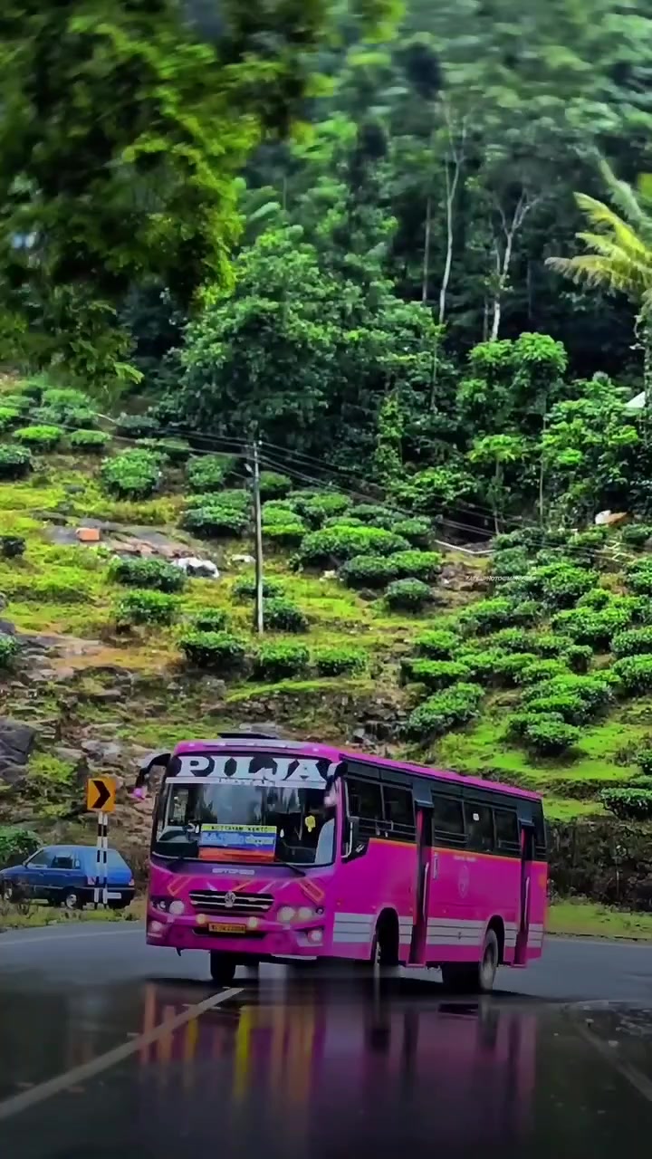 @🅚︎🅛︎ 34 ബസ്പ്രേമി