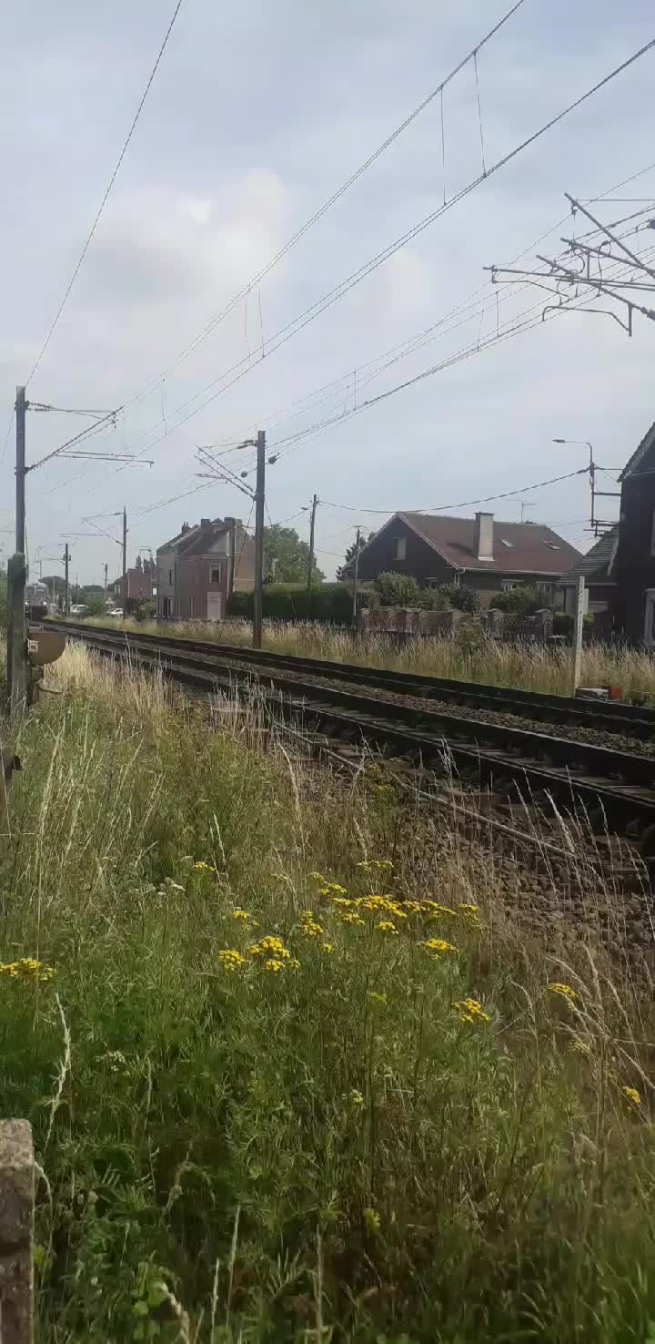 @passion_train_
