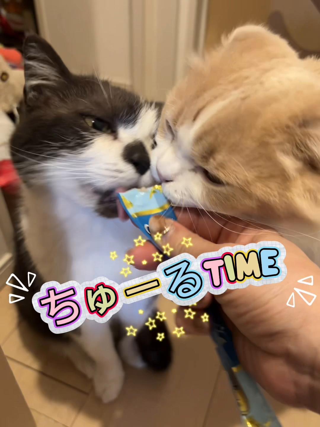 @くるラテ