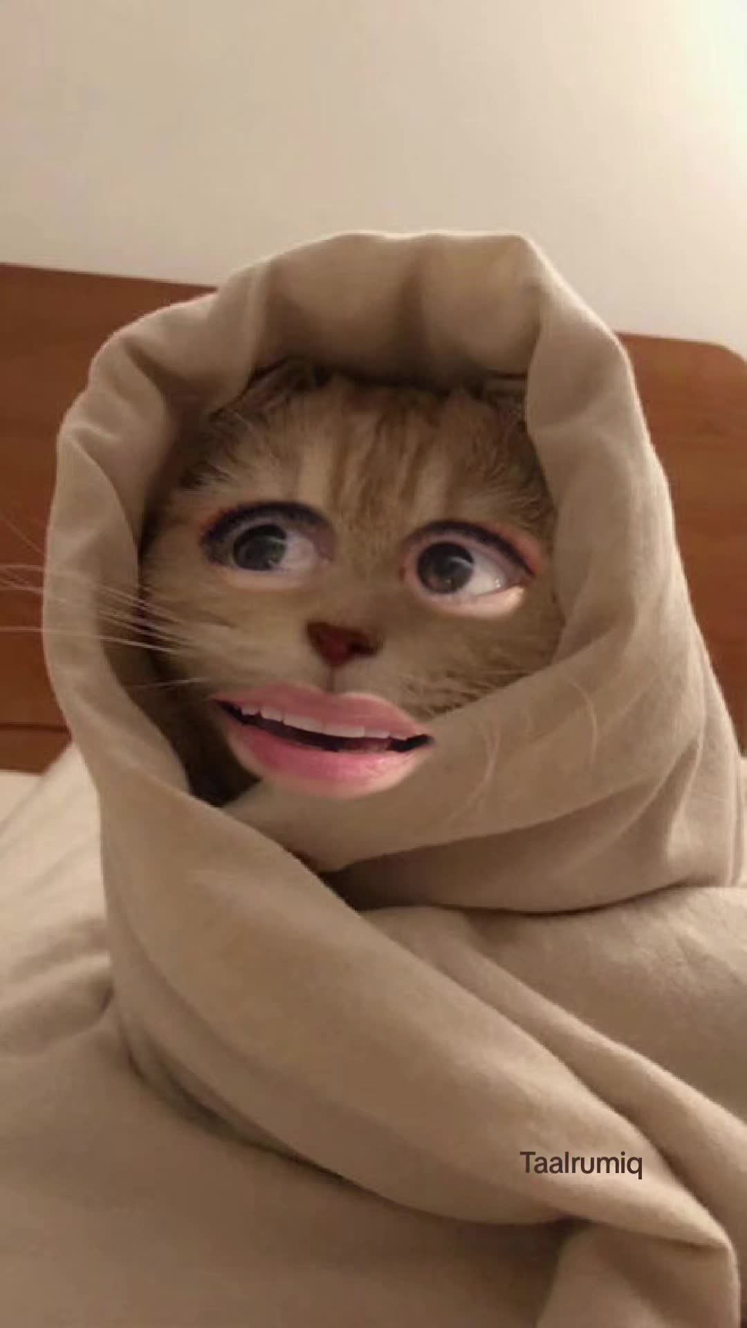 @Taalrumiq
