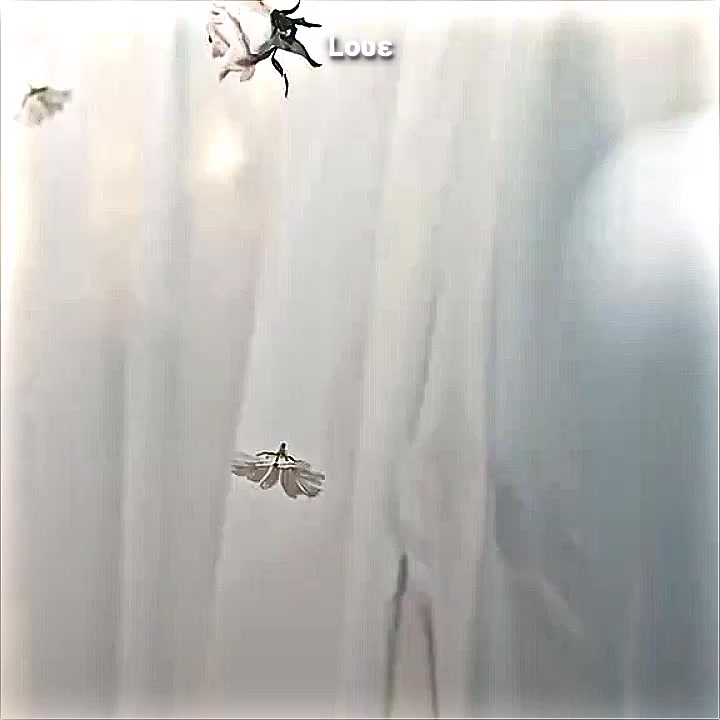 @á¡£ð©ð»Ö
ÊÉ ððð ÖŽÖ¶Öž ÖŽÖ¶áµáµáµ