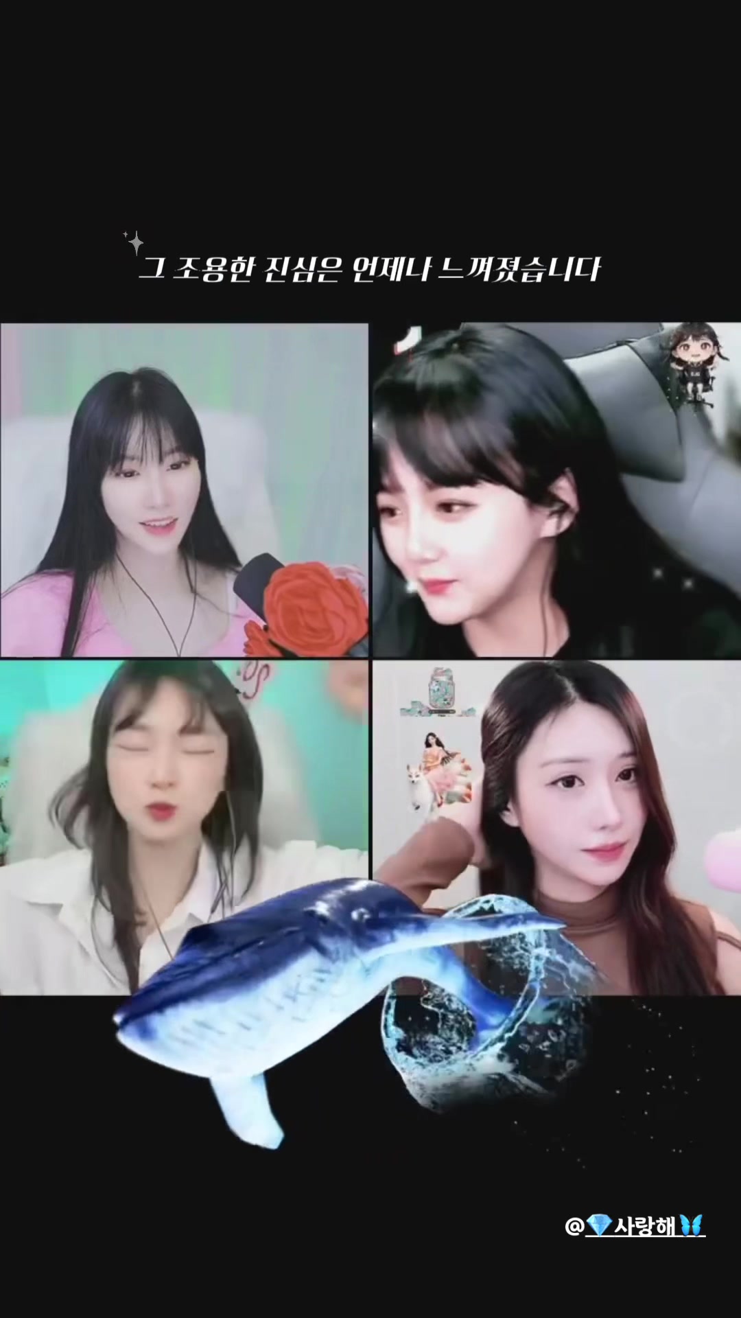 @💎다나 ᴅᴀɴᴀ ダナ🦋