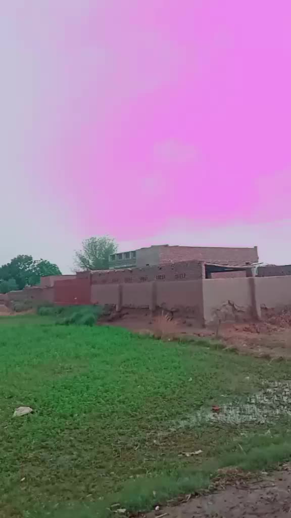 @user6667266379313