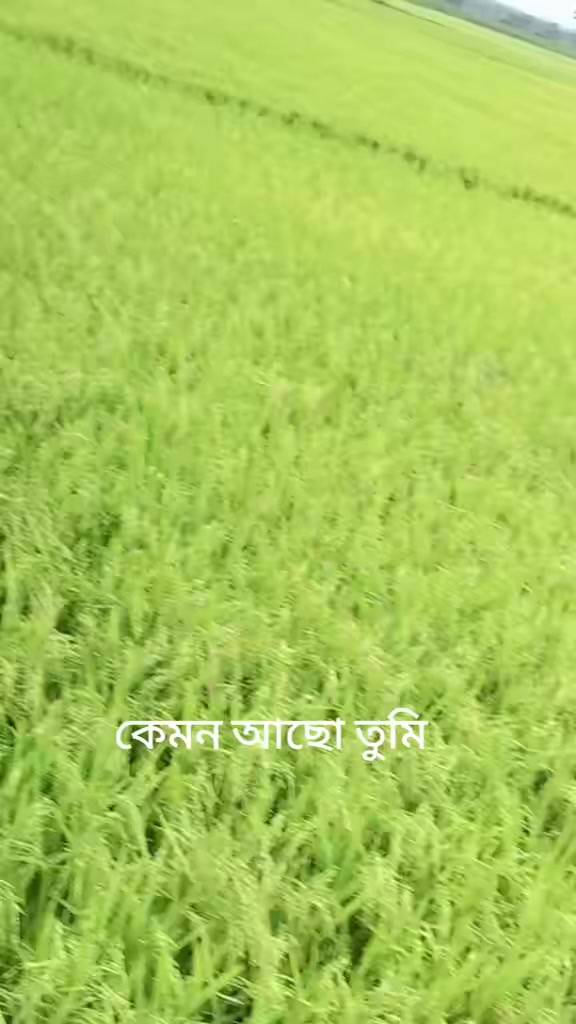 @md mohasin ali 5172