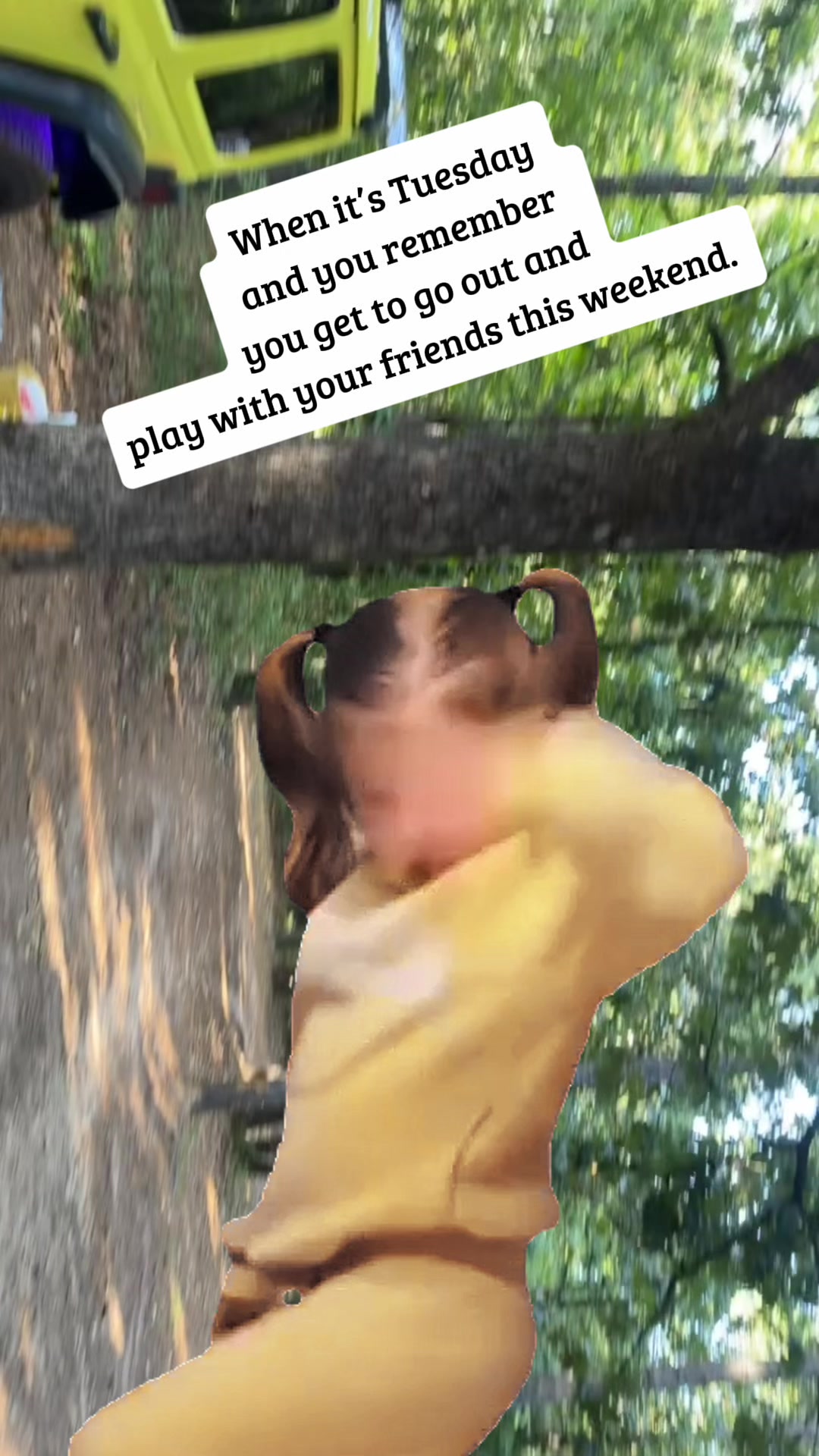 @HolliBari