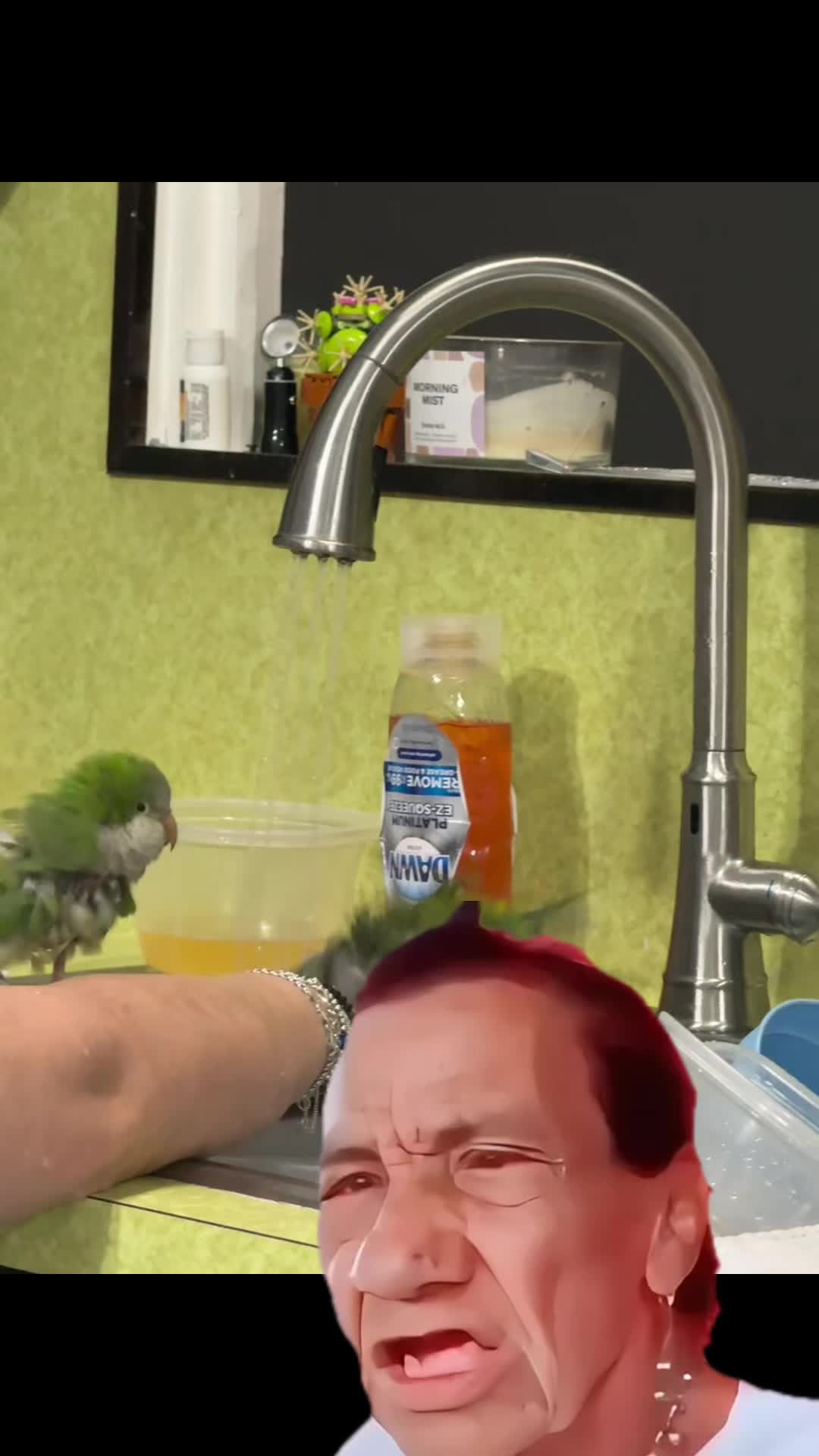 @JJkotx1