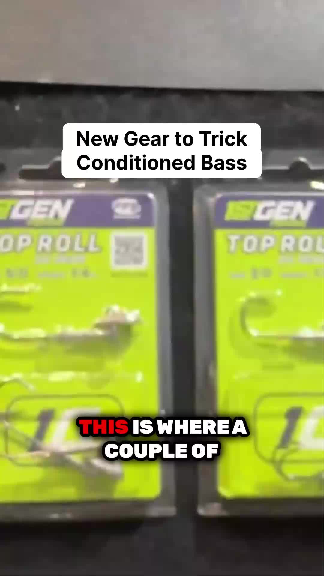 @bassgeek