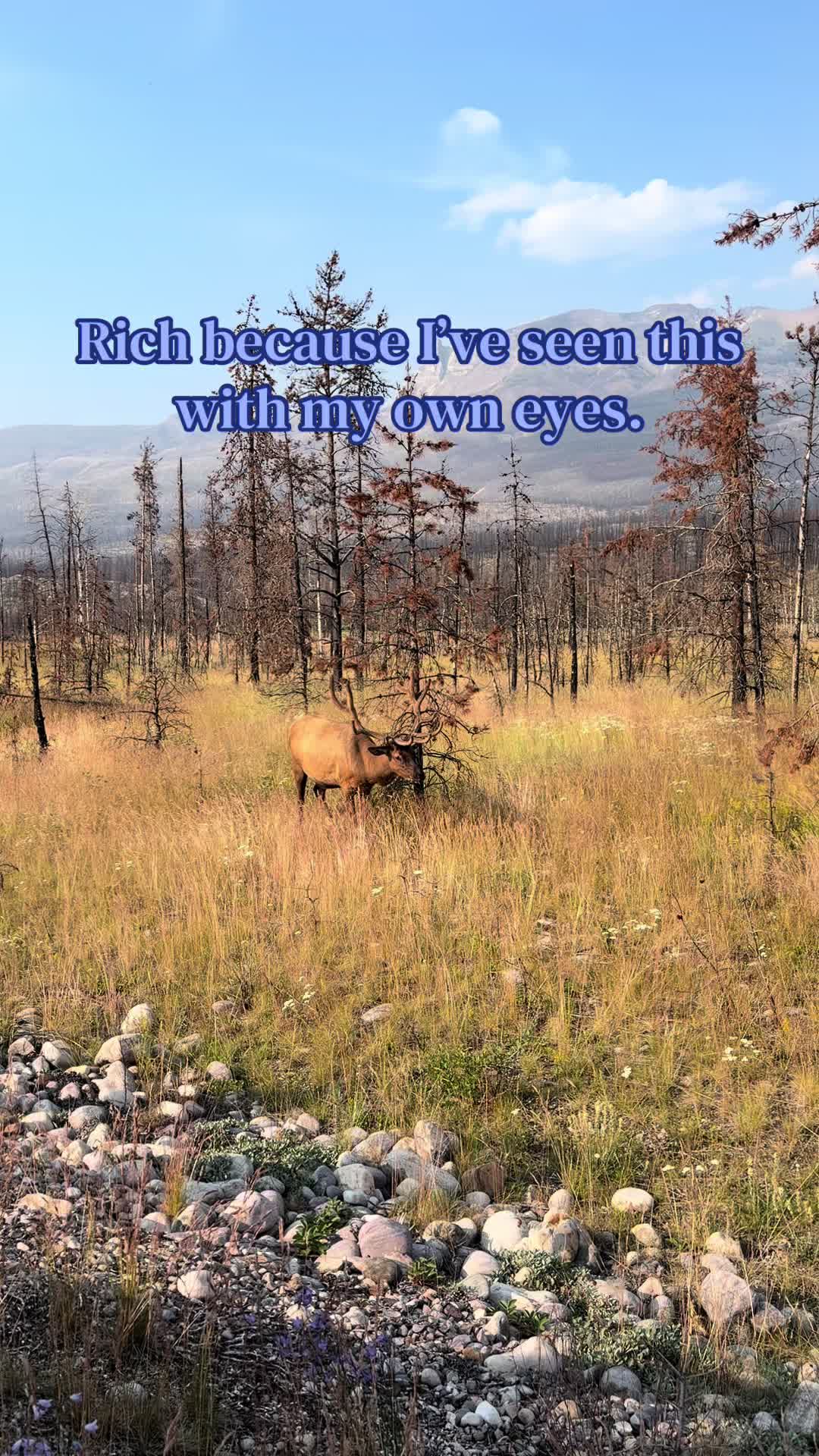 @☀️