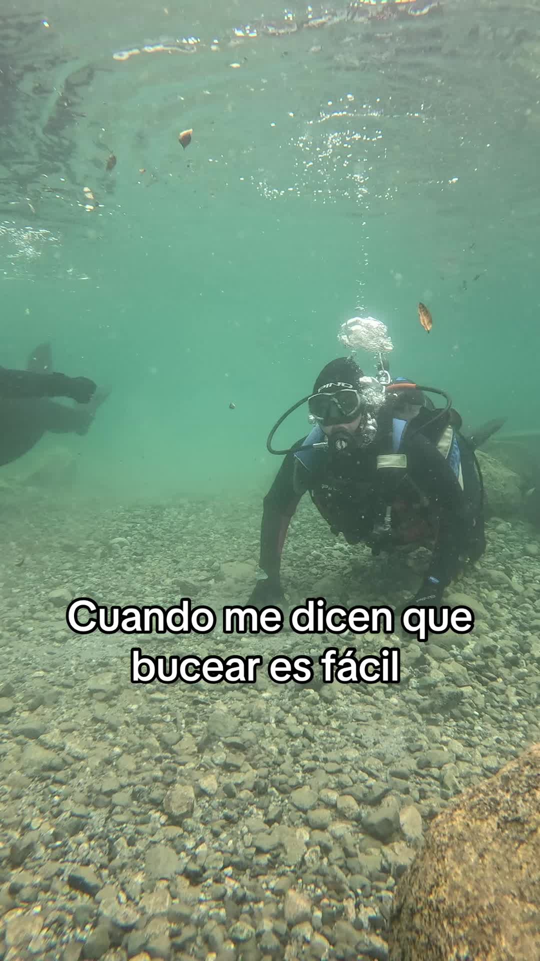 @bianqui