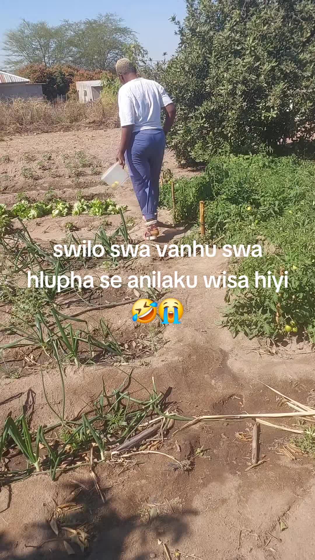 @Zeh Leh Dha