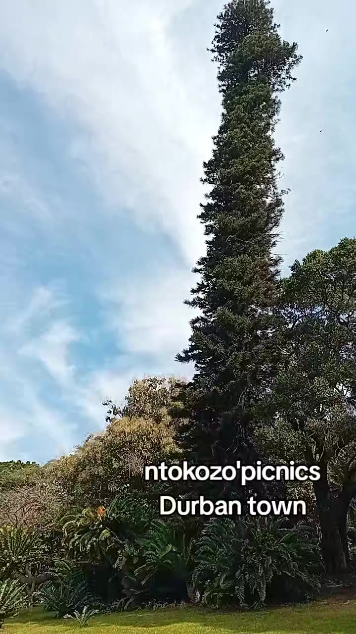 @ntokozo's picnics