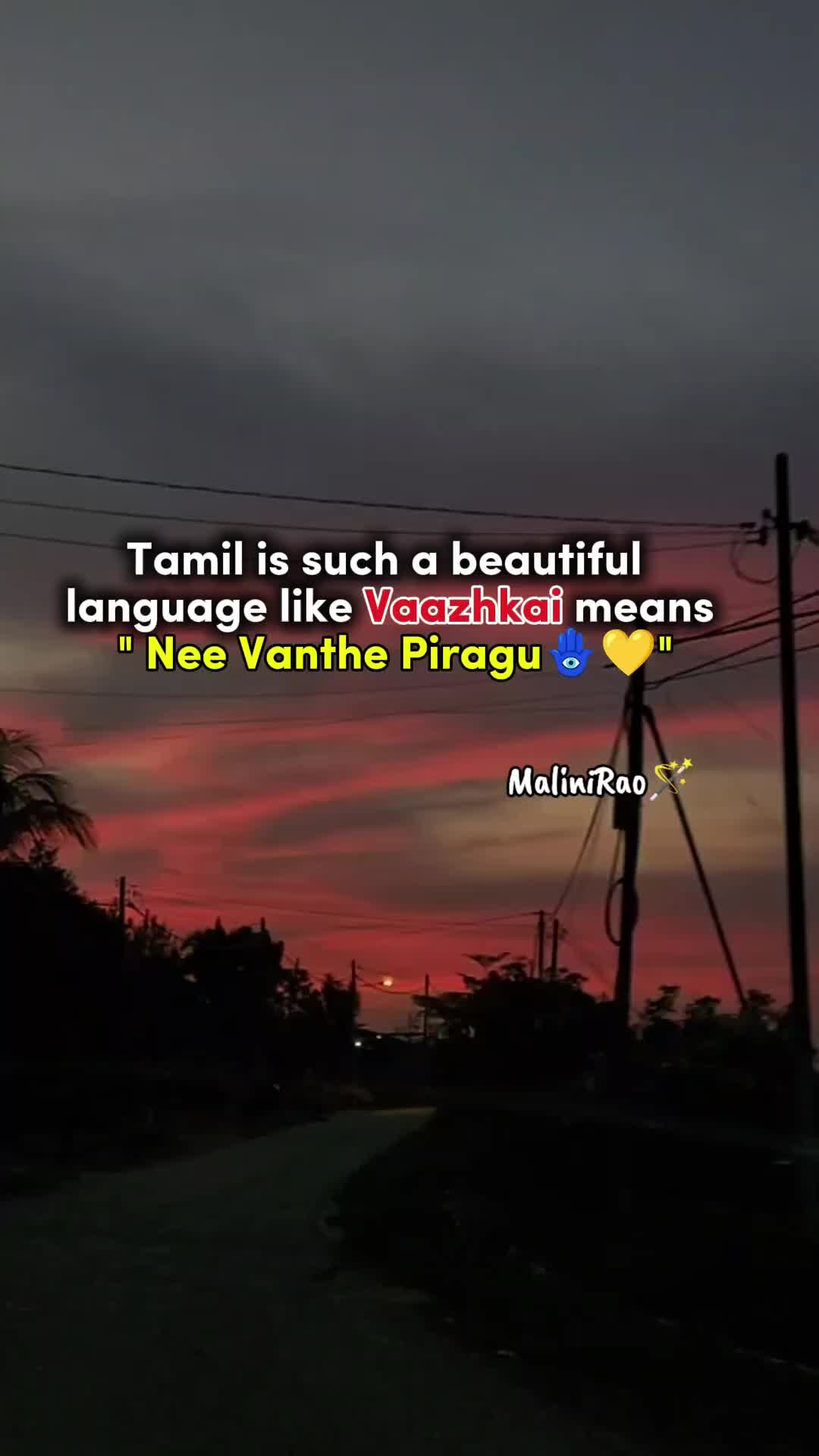 @MaliniRao🌙