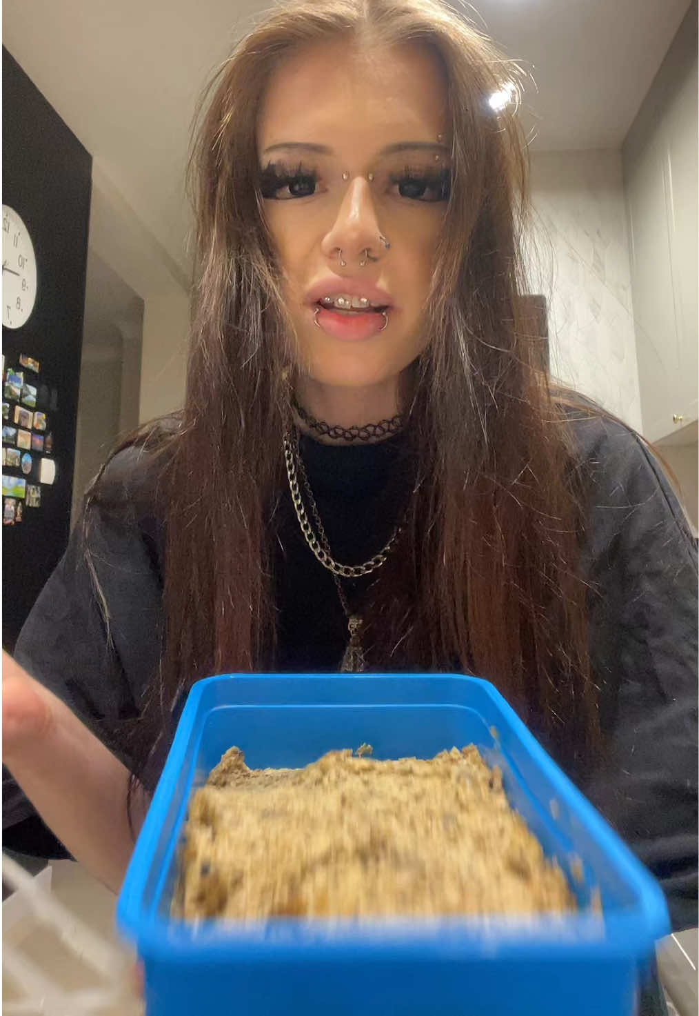 @kotolga