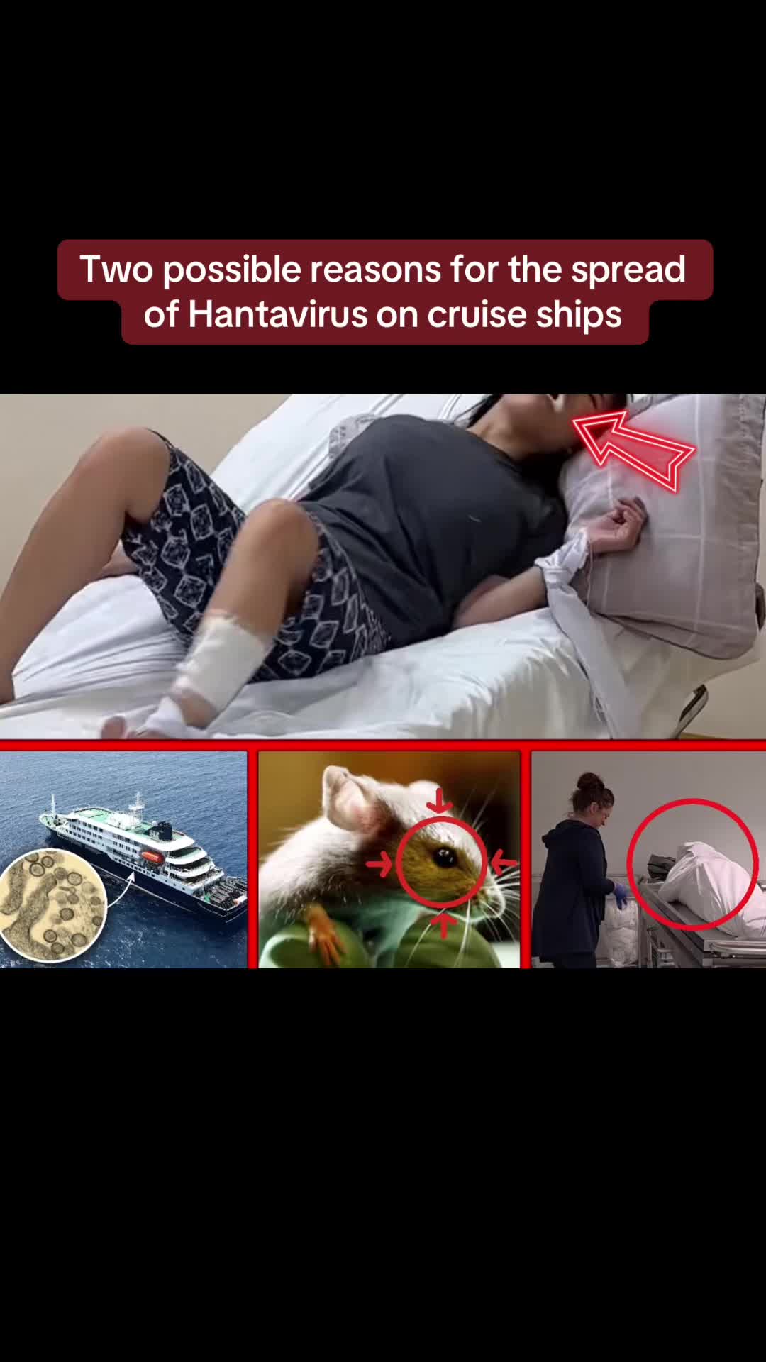@zrtiqfh52972
