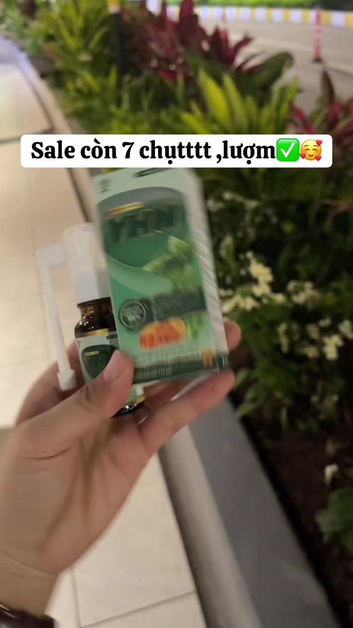 @Tiệm Trà Việt
