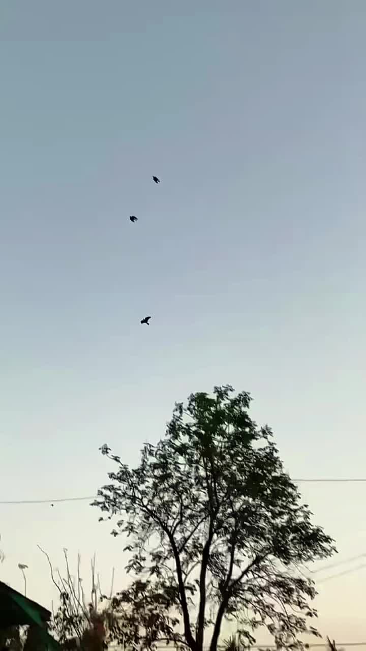 @𝙠𝙞𝙣𝙜 𝙤𝙛 𝙫𝙚𝙝𝙖𝙧𝙞 💓