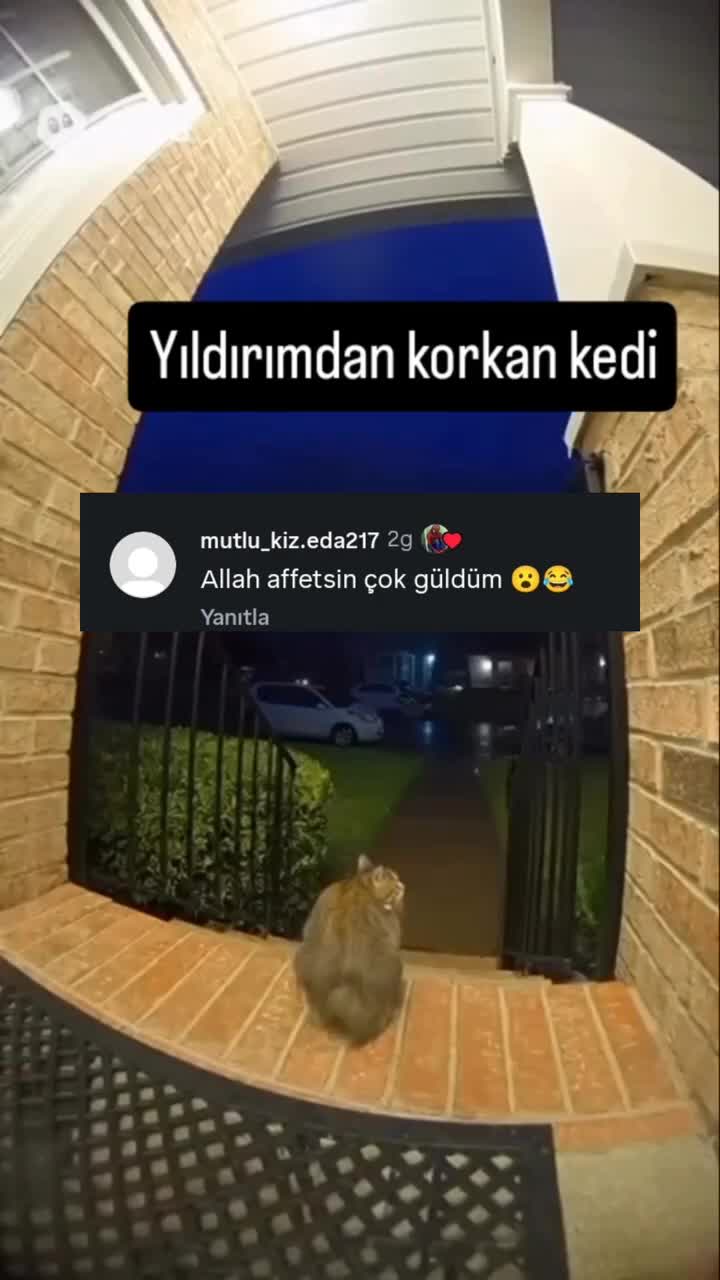@𓆩Xəyal adlı varlıq𓆪