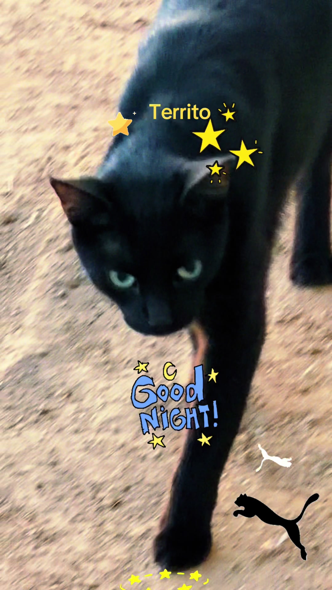 @Amri Gatitos
