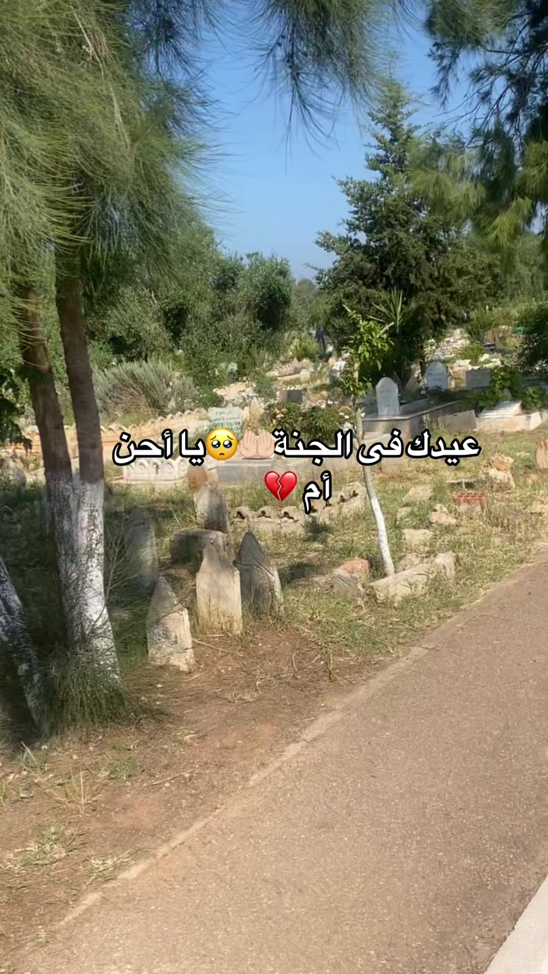 @💍Méfiant💖