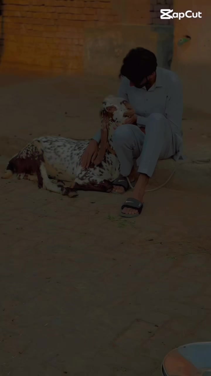 @mian_rehman_117