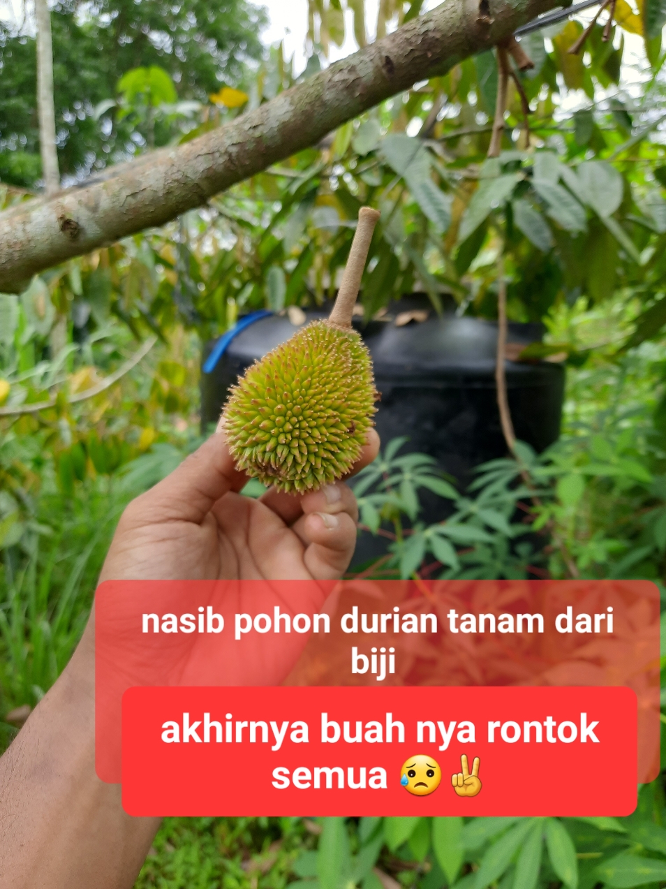 @embunpagi20