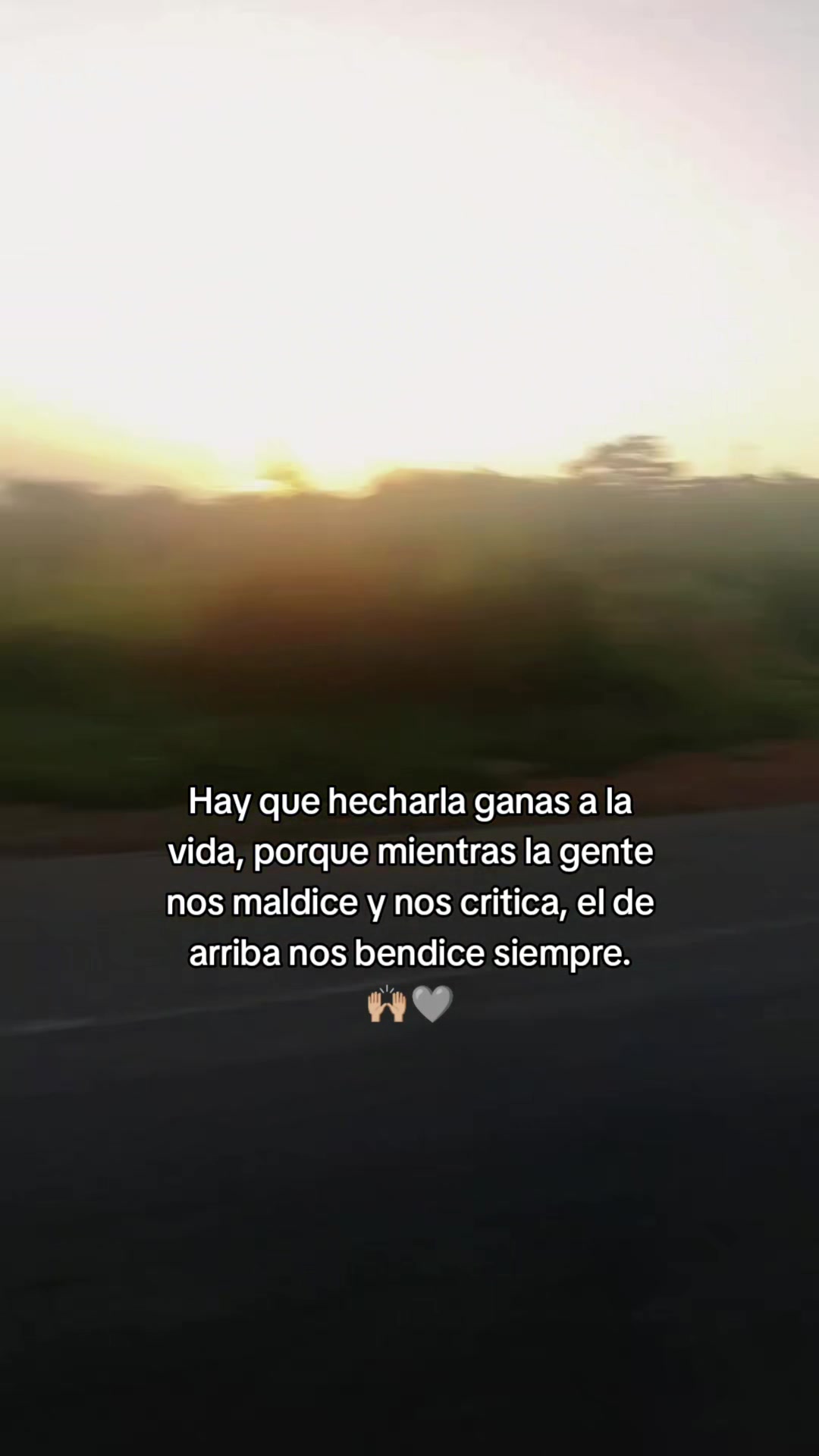@elbordonc.r
