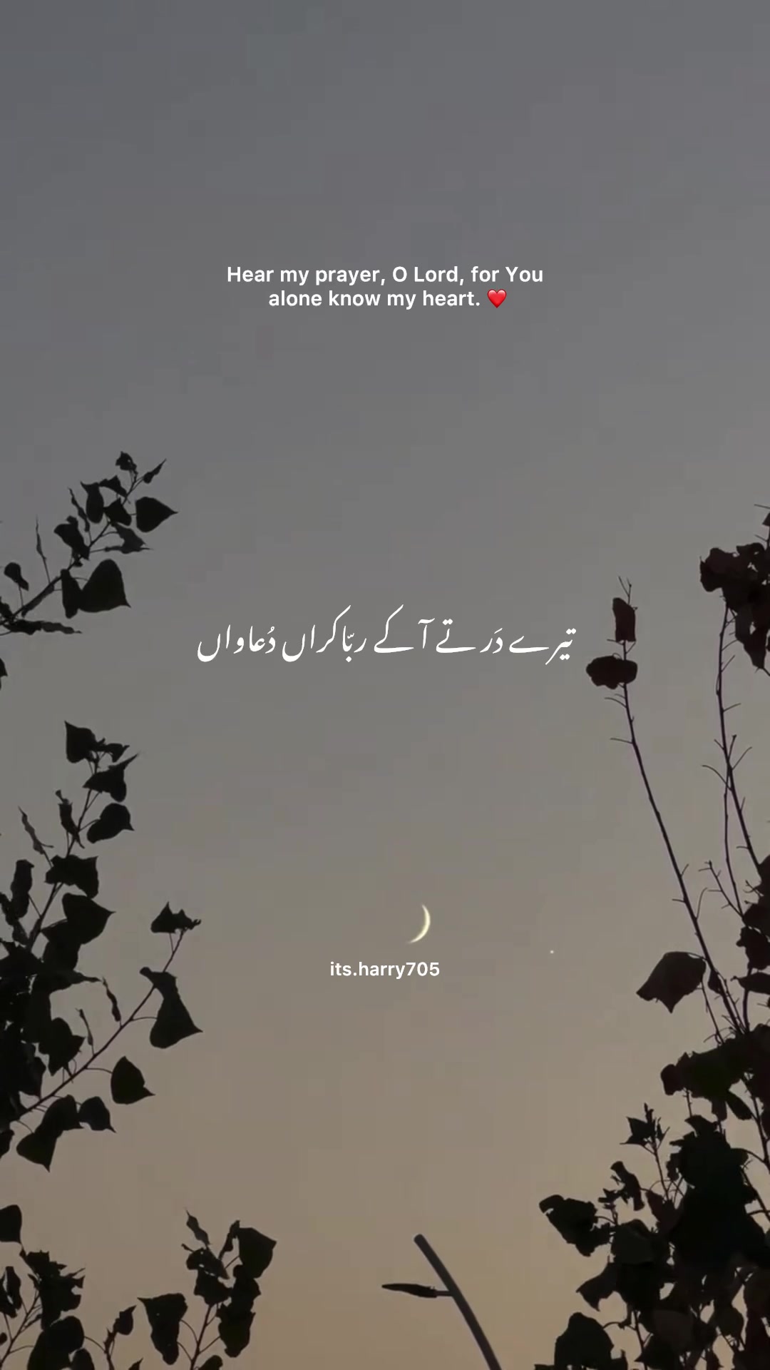@𝗛𝗮𝗿𝗿𝘆