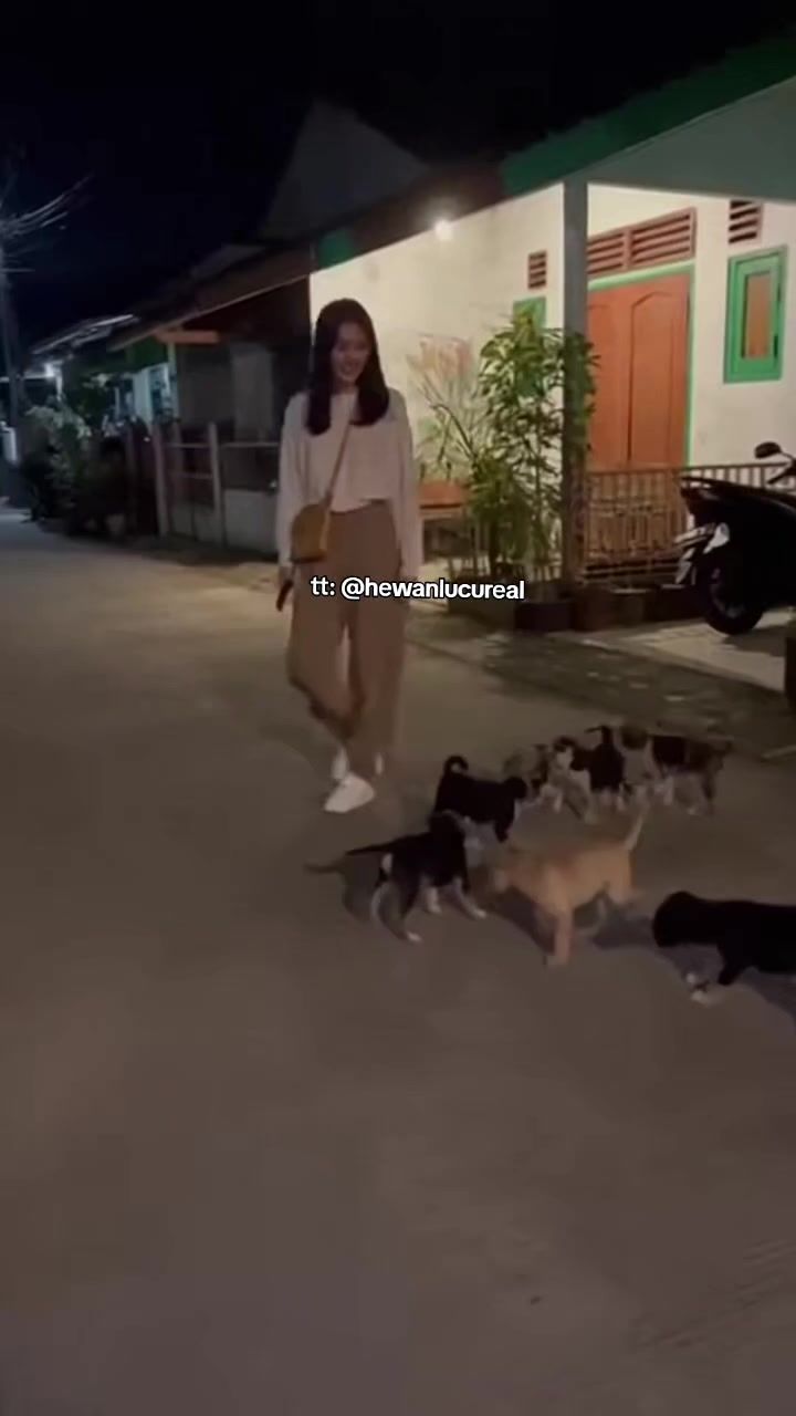 @Hewan Lucu🥰