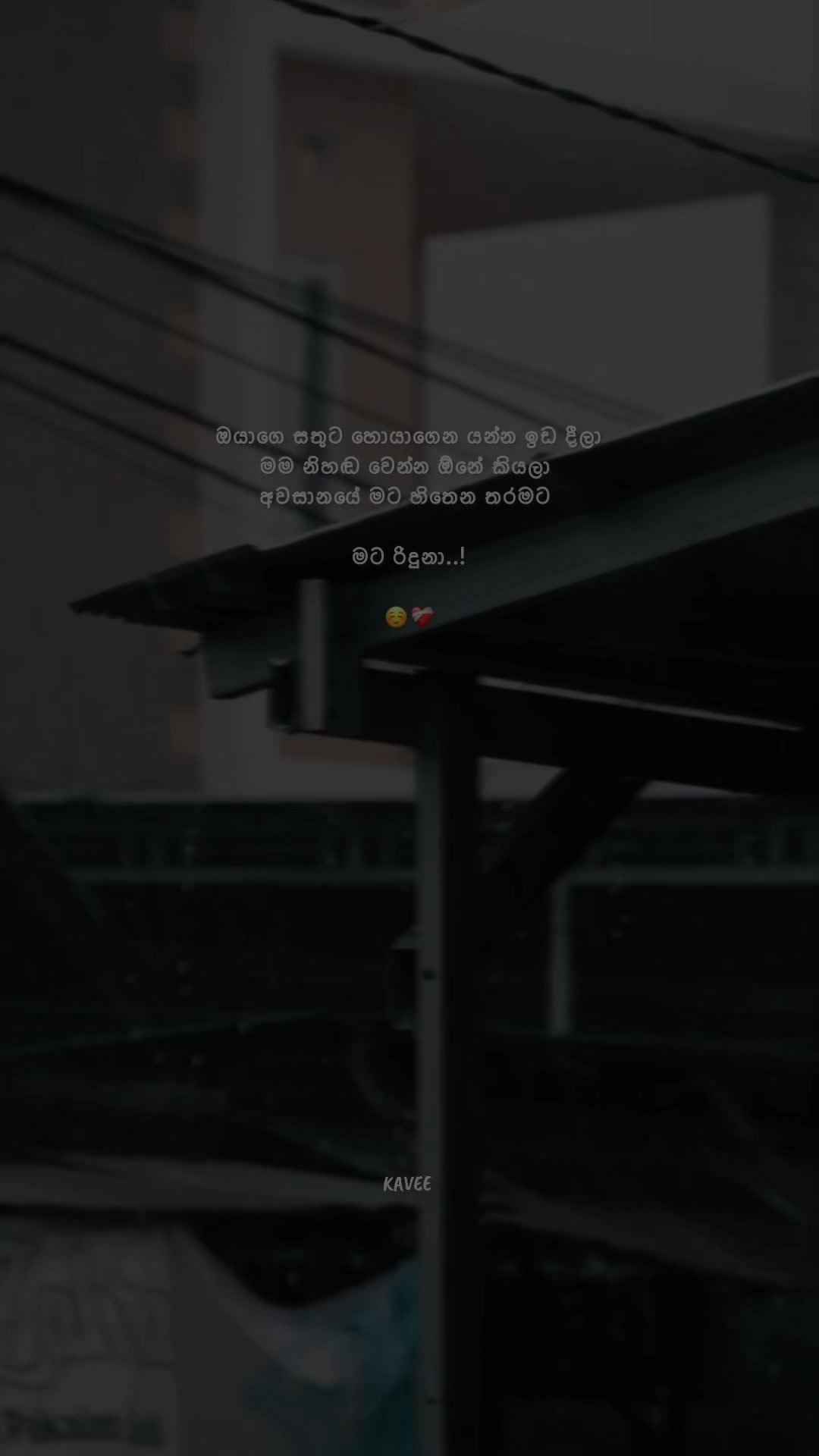 @𝑲 𝑨 𝑽 𝑬 𝑬 🪼
