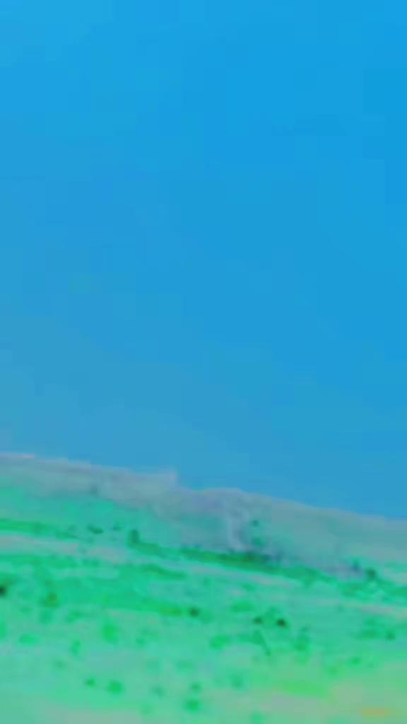 @๐
๐๐ค๐
๐
๐ฎ๐ฅ๐ฅ.๐๐ซ๐๐๐ค๐
