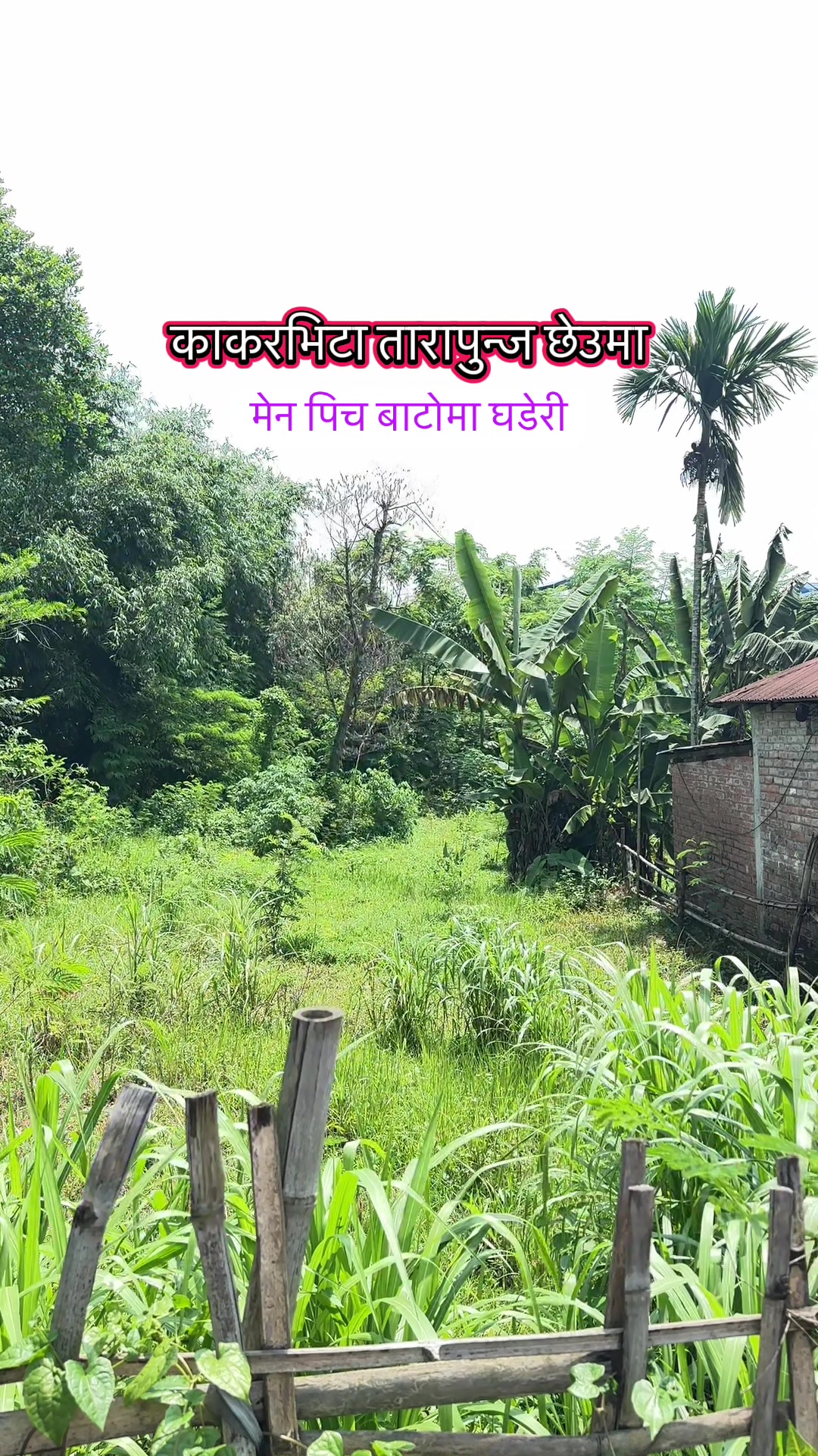 @Maikal ghar jagga