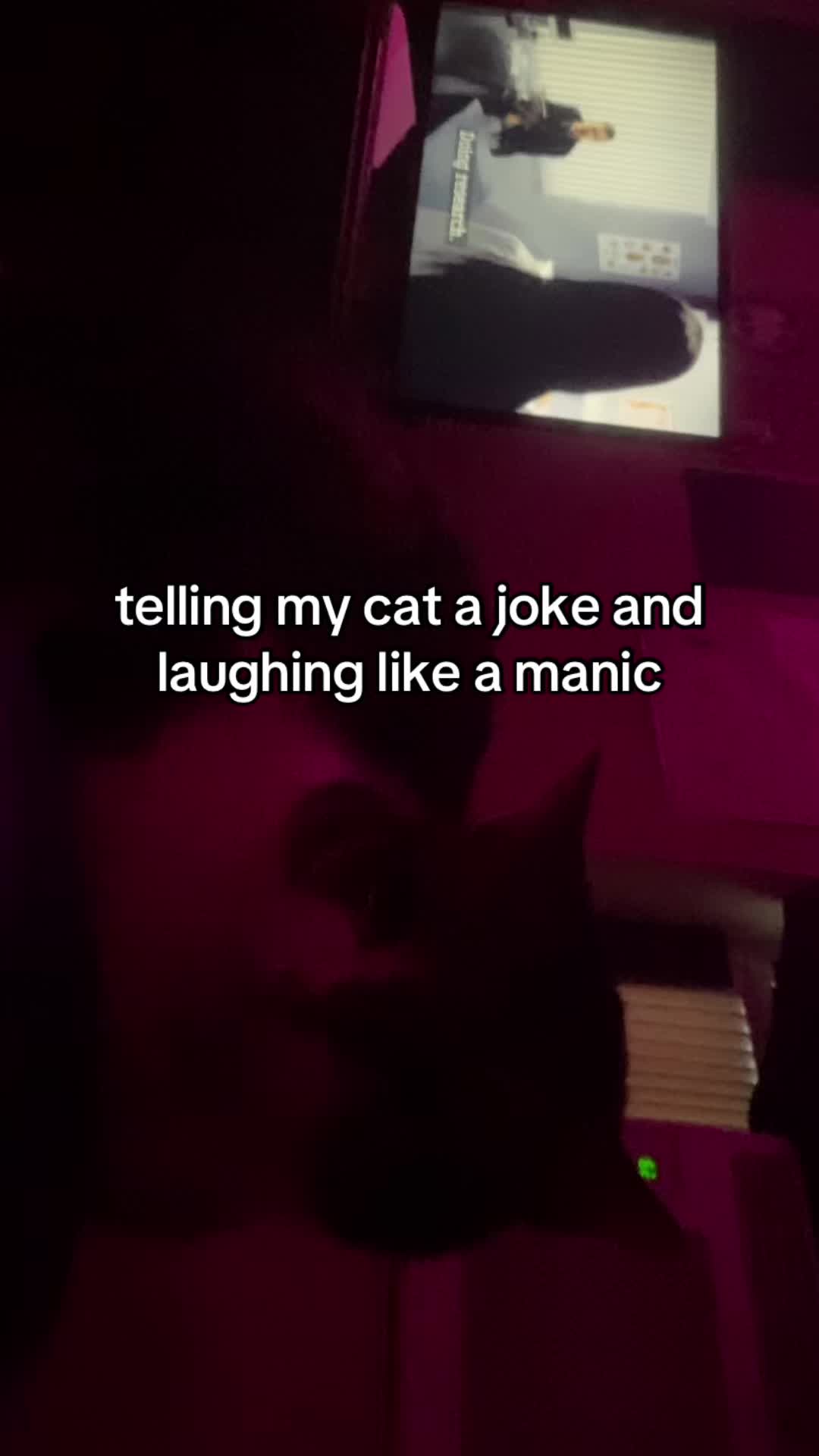 @fifi