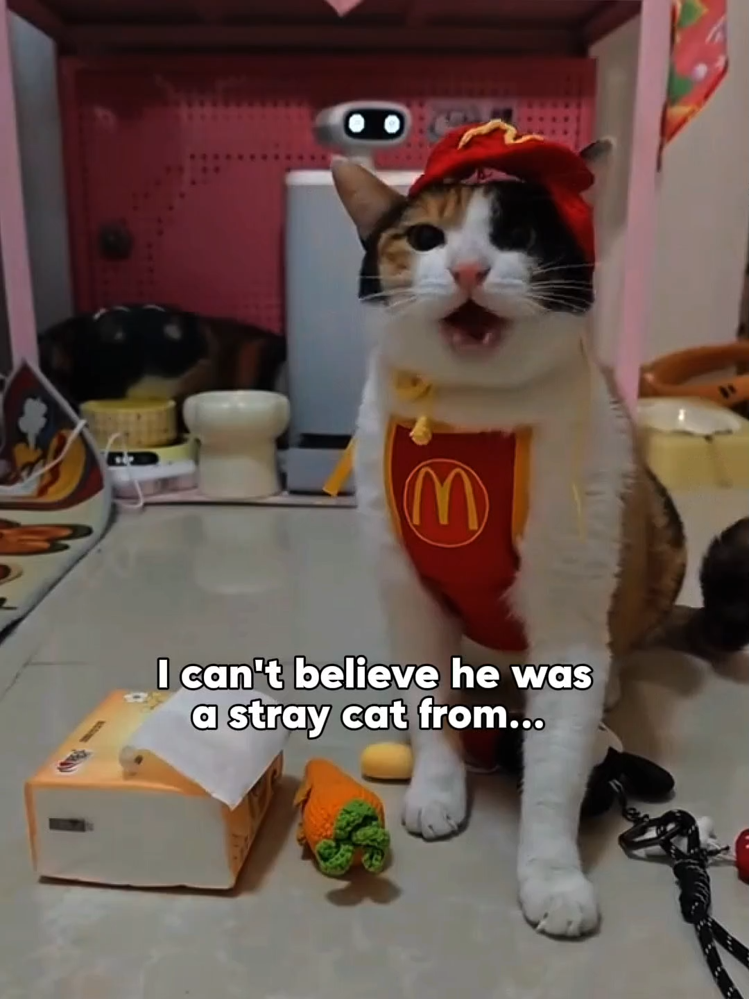 @Purrrr_eliza17