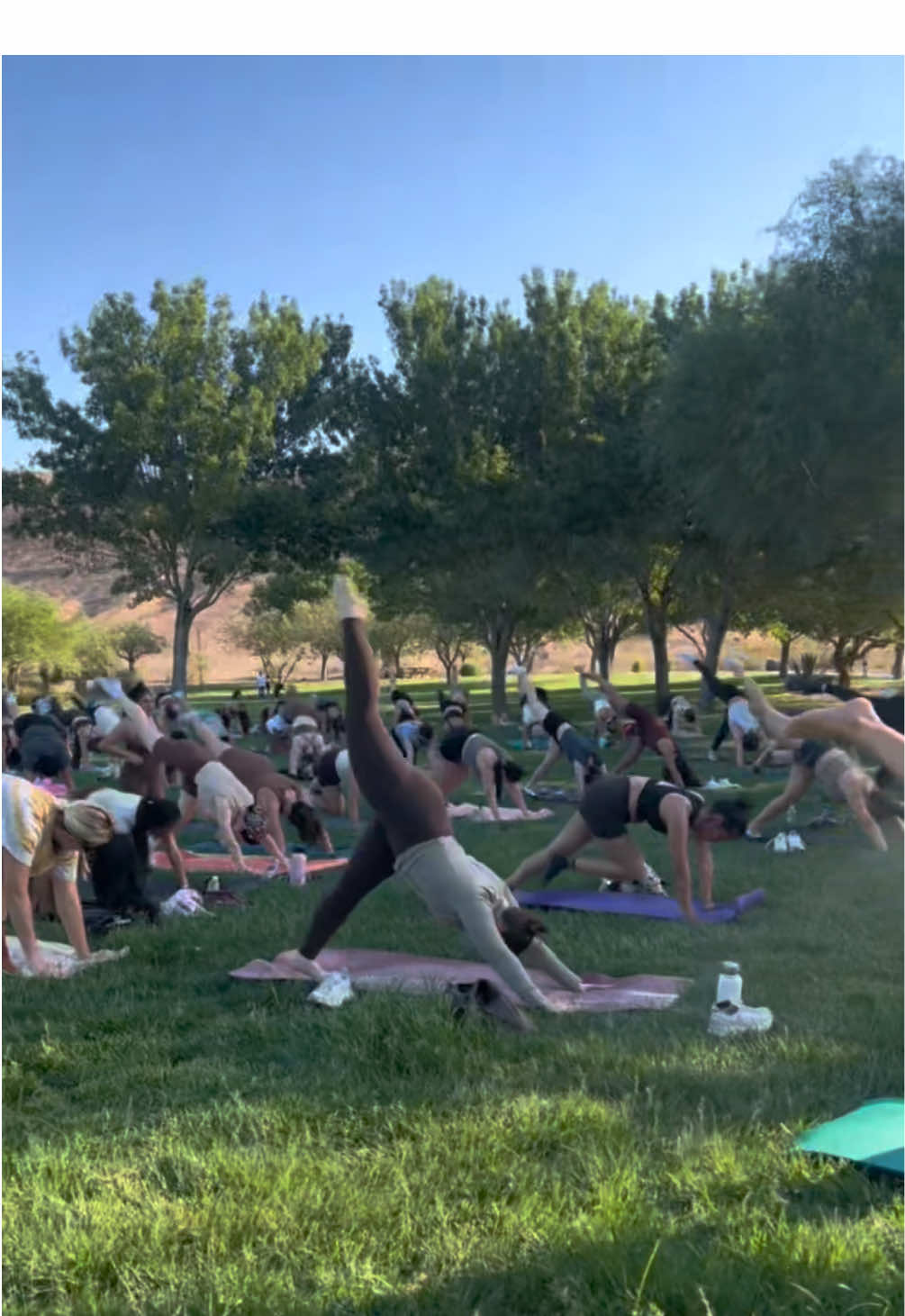 @Pi•Lattes | LV Pilates Club