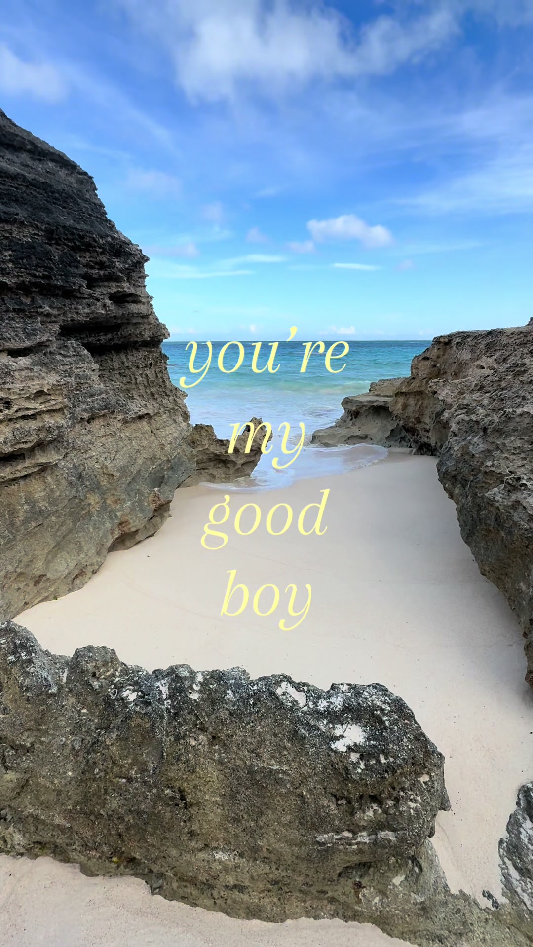 @𝐨𝐰𝐞𝐧⋆˚࿔🦦