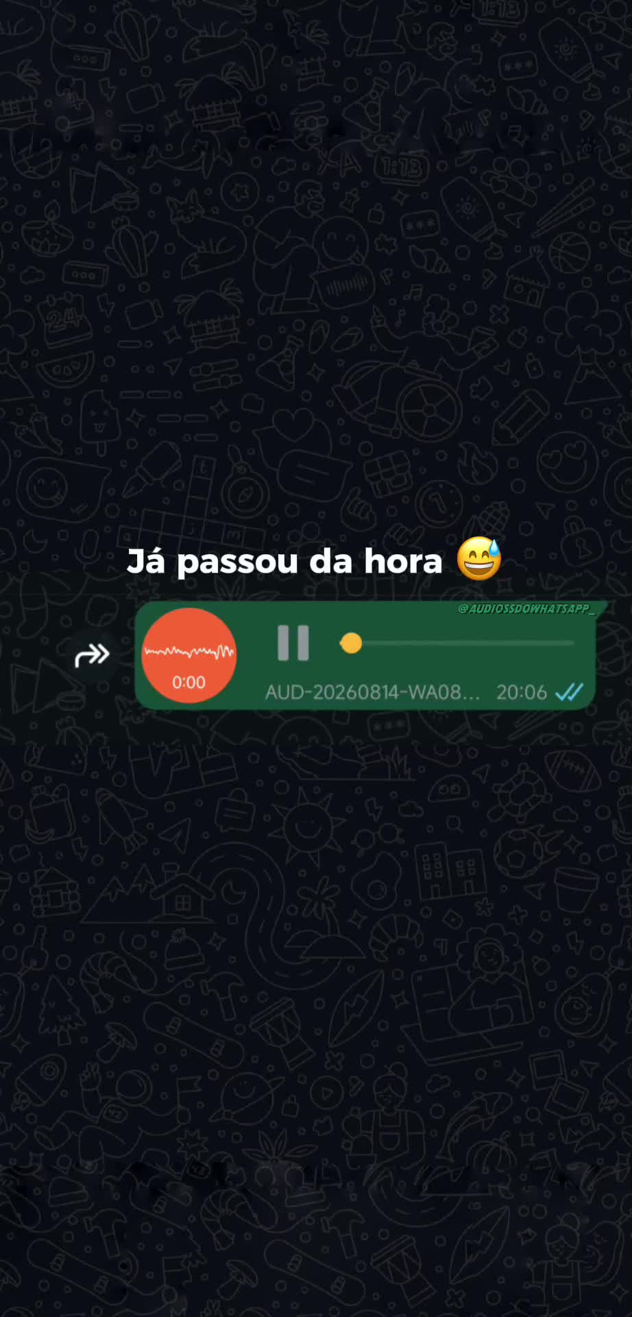 @ÁUDIOS DO WHATSAPP