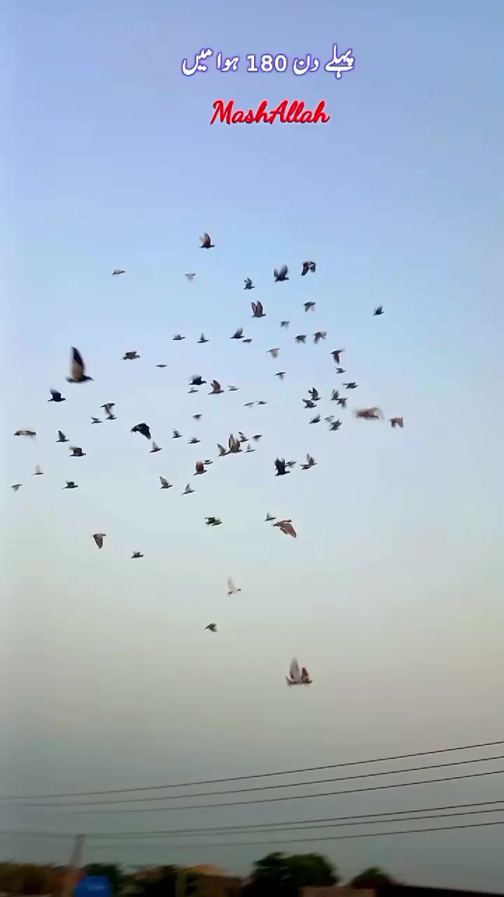 @𝑹𝒂𝒔𝒉𝒊𝒅 𝑻𝒂𝒃𝒂𝒔𝒔𝒖𝒎