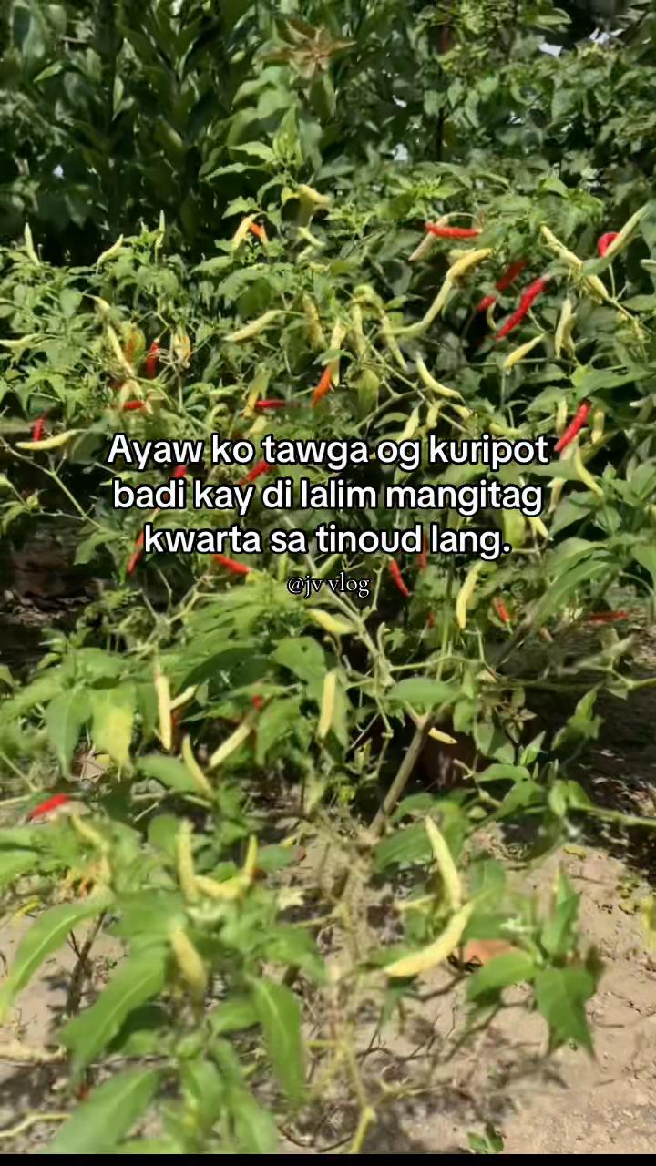 @Jibbydigan