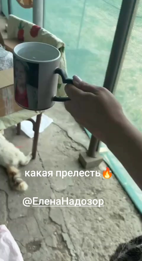 @🇺🇦бабуся🤣 веселюся🤣🇺🇦