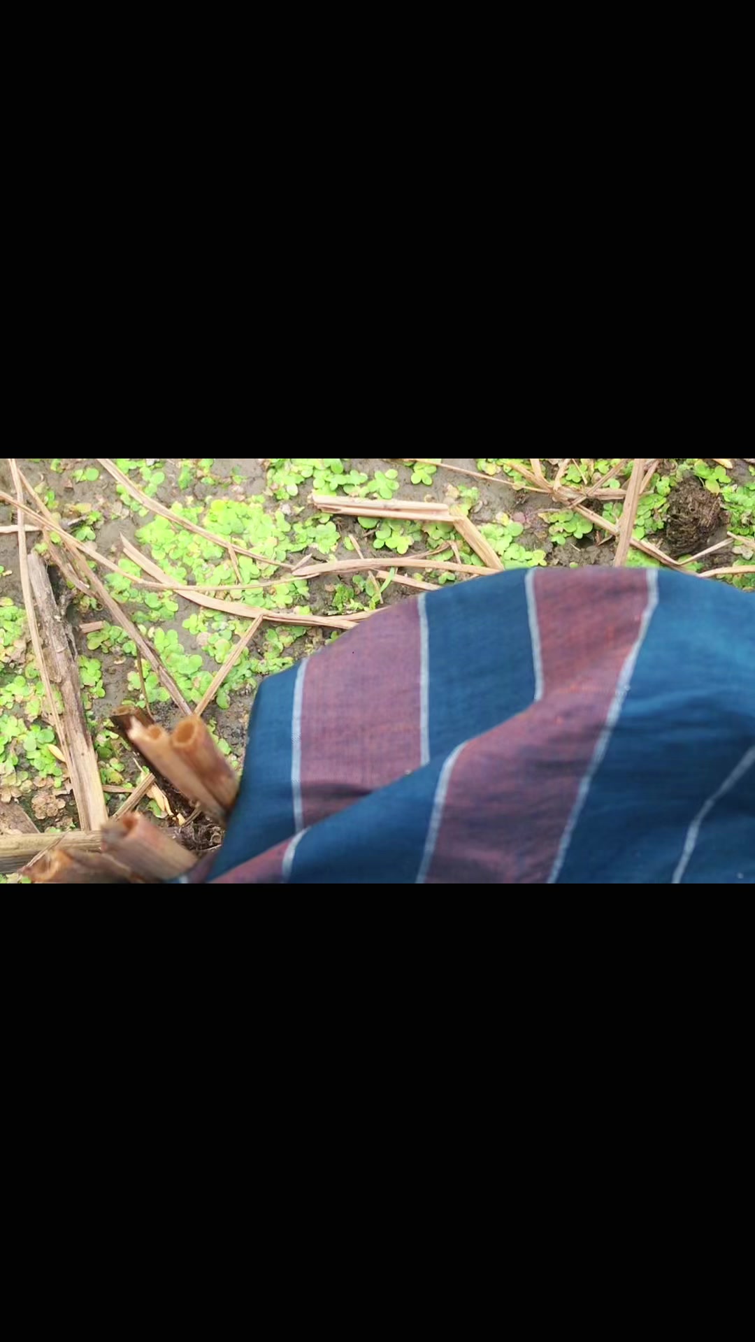 @প্রকৃতি প্রেমিক। 🌄🏞️