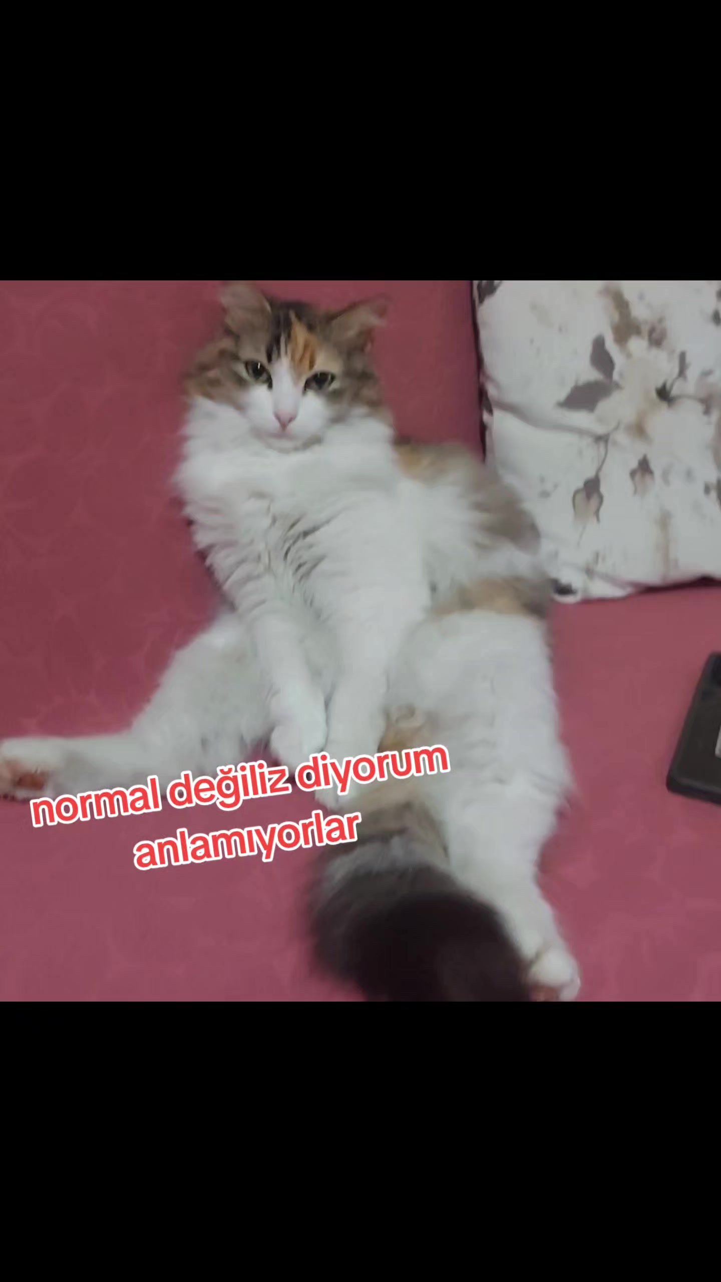 @GoncaBıçakUlaştısoy