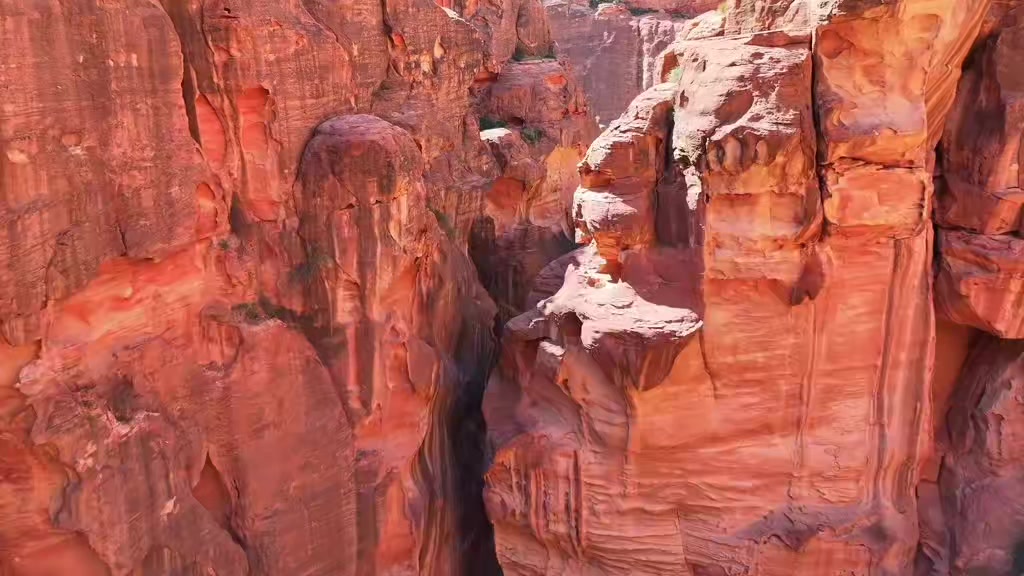 @fawzi Petra🇯🇴